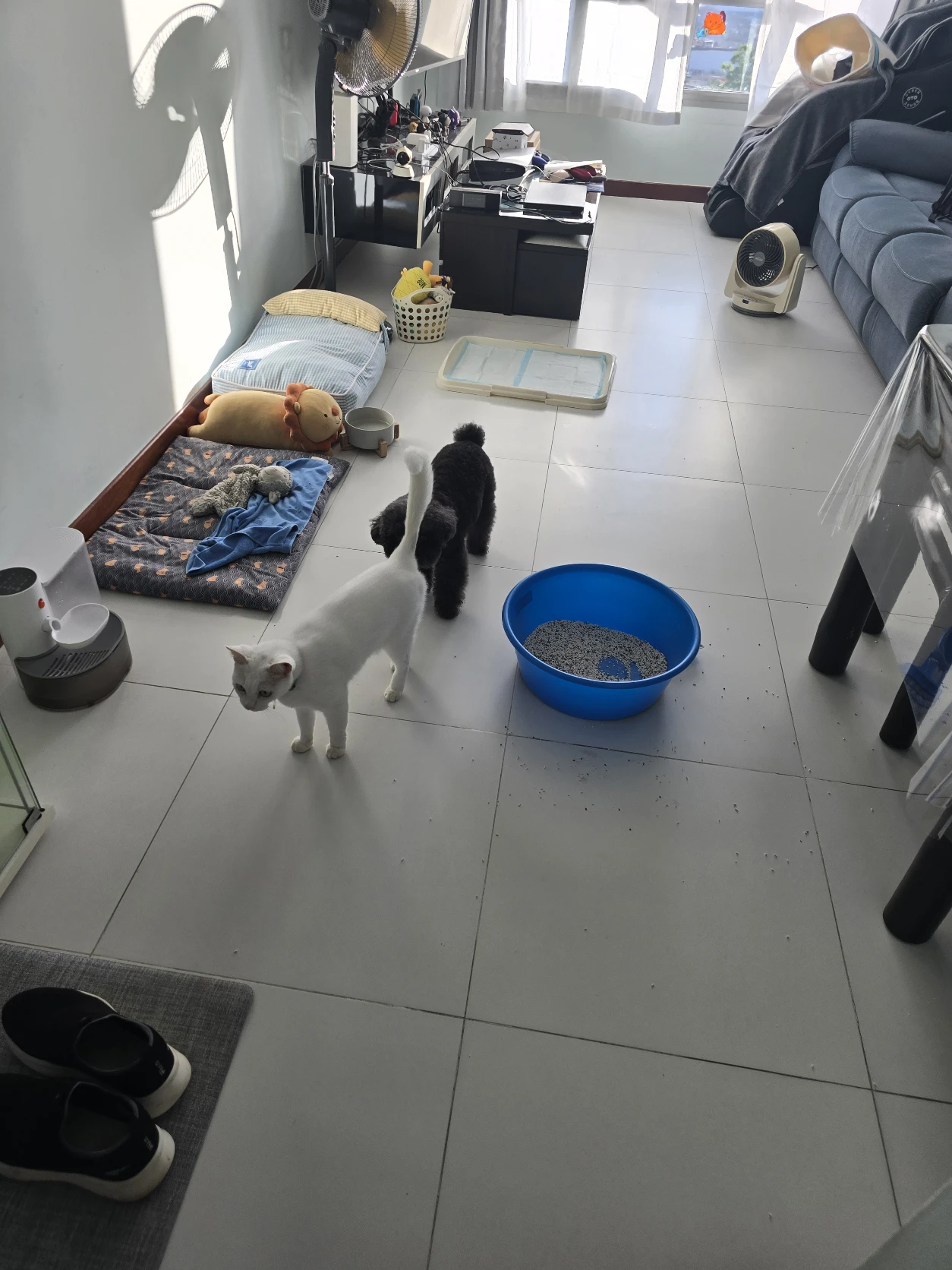 image-3