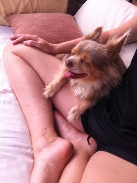 image-7