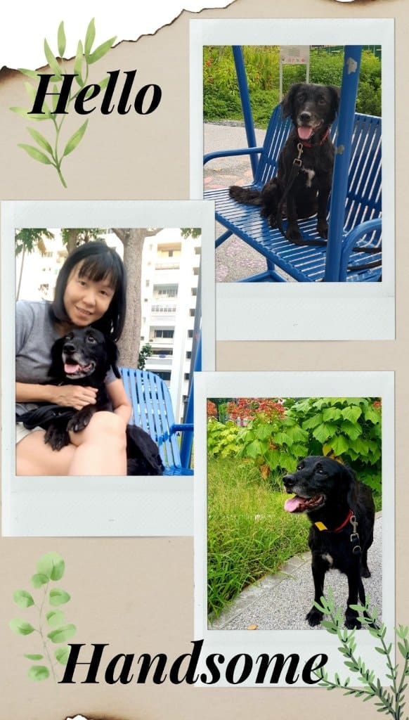 image-38