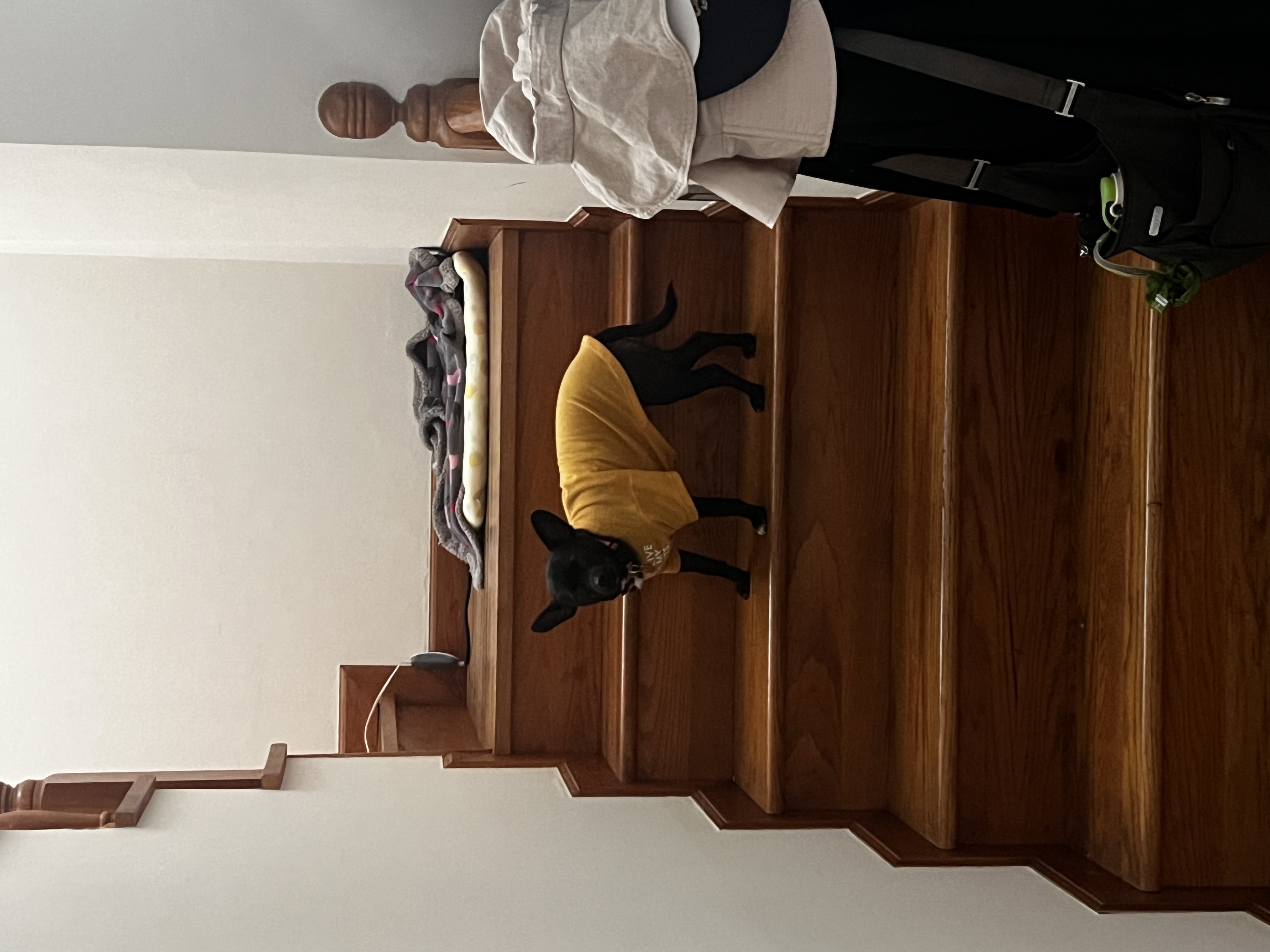 image-15
