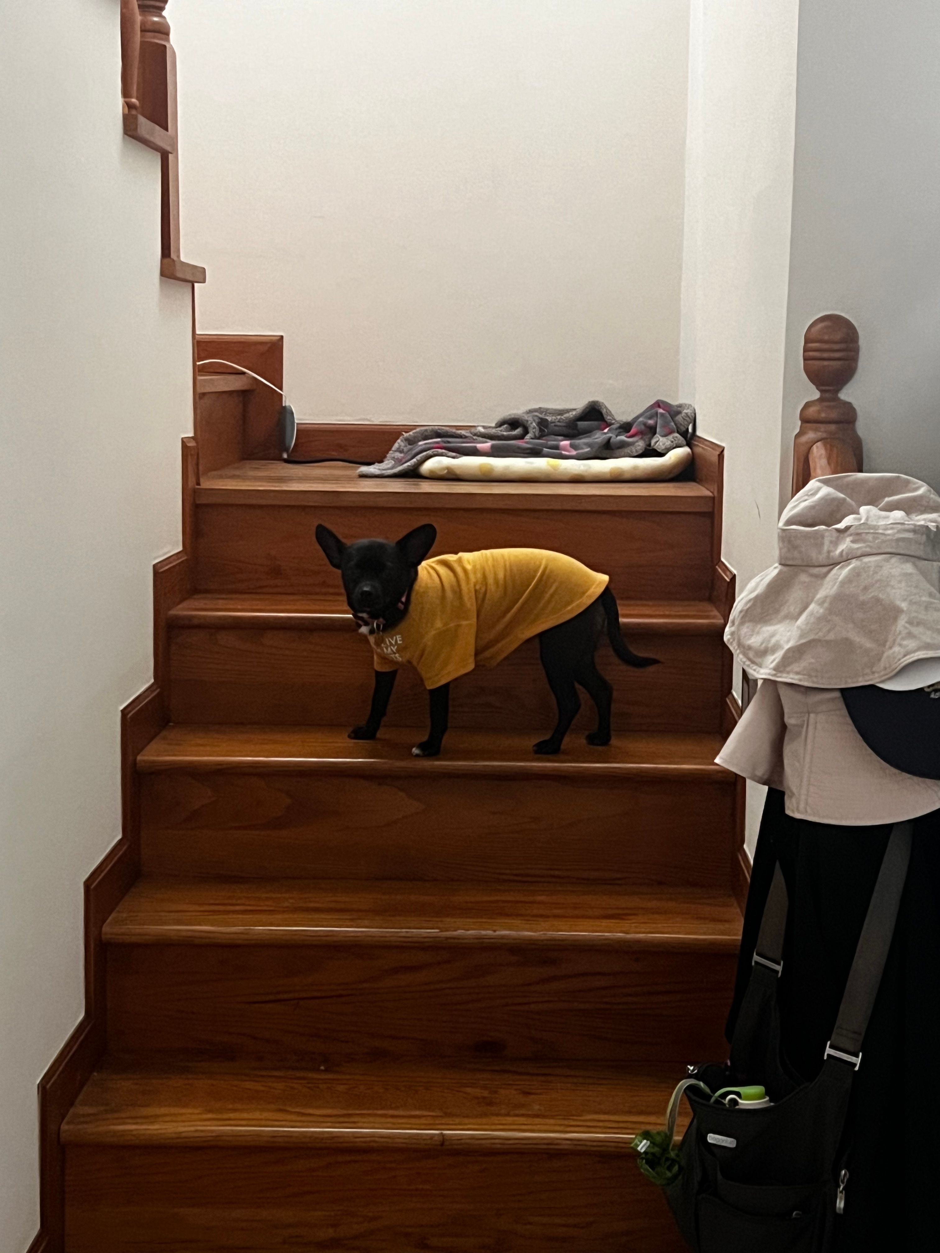 image-15