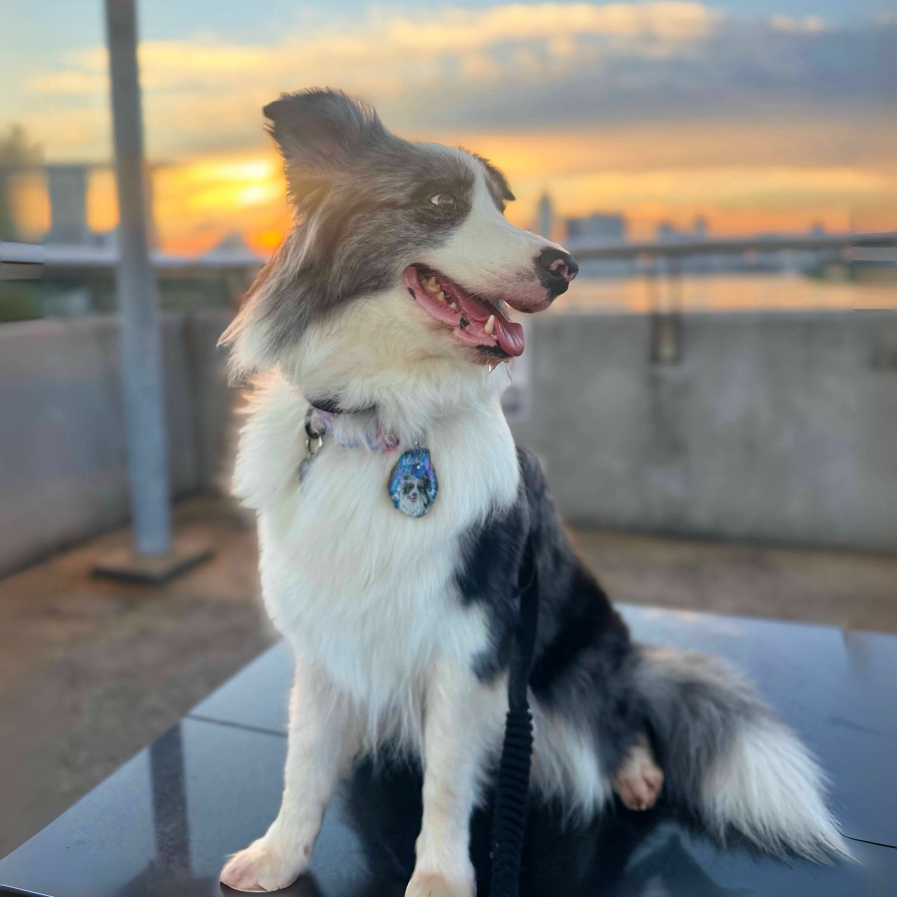 Lumi