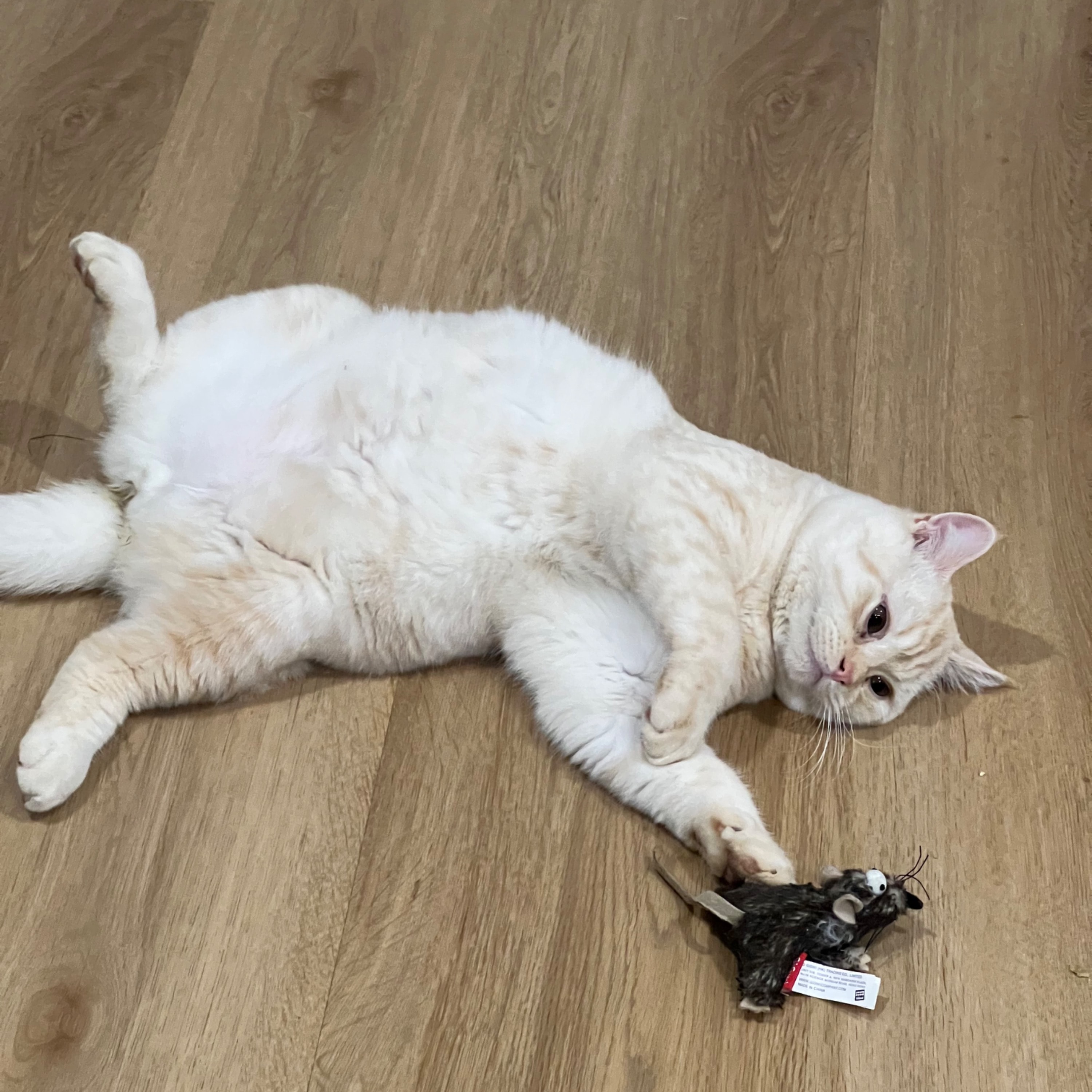 Sebastian 