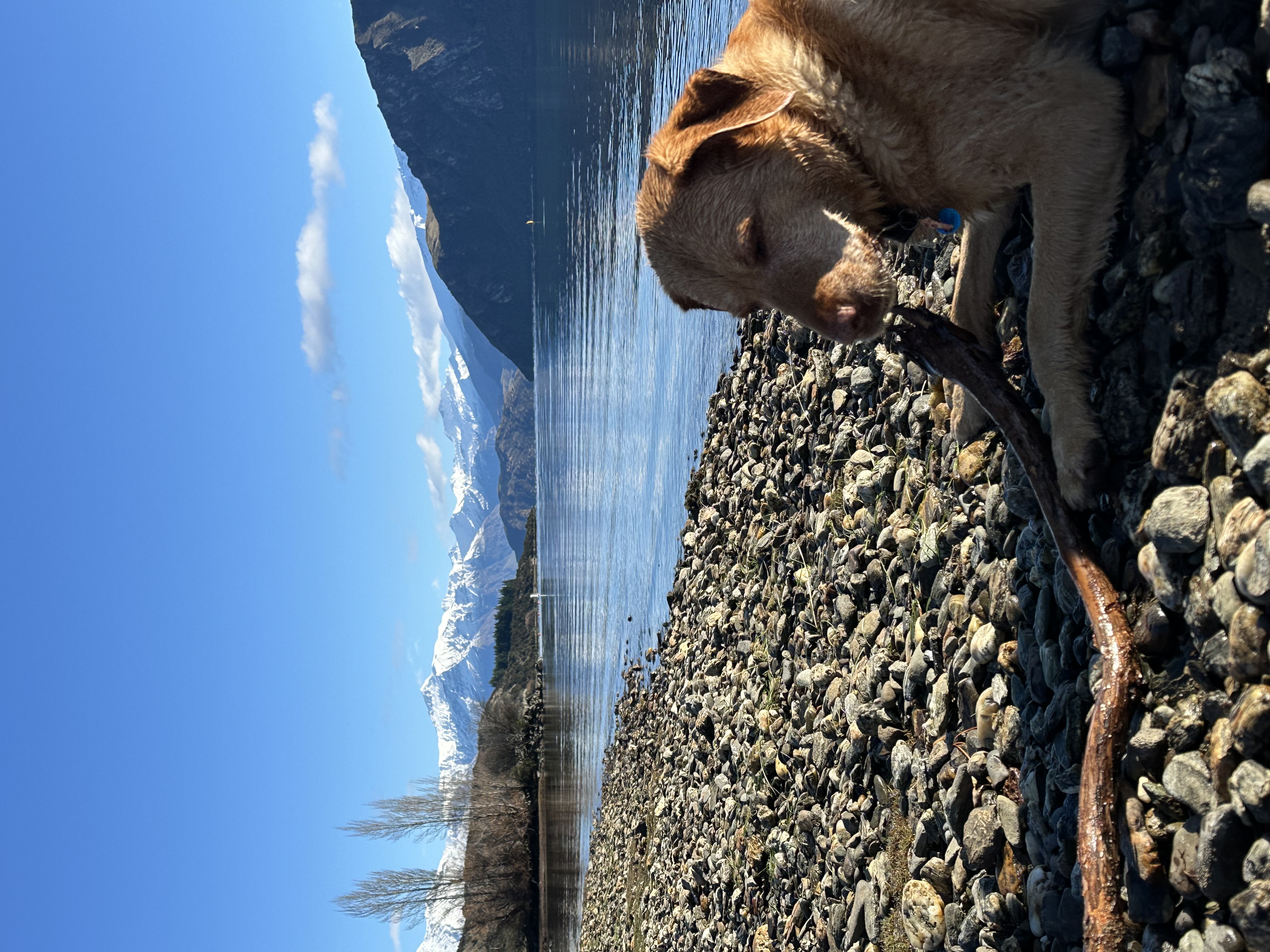 image-5