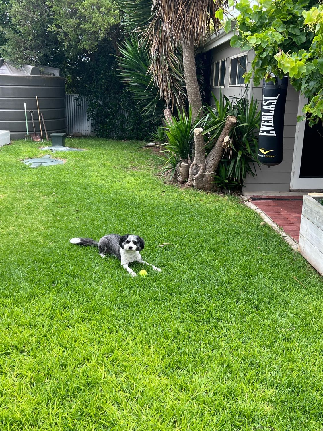image-13