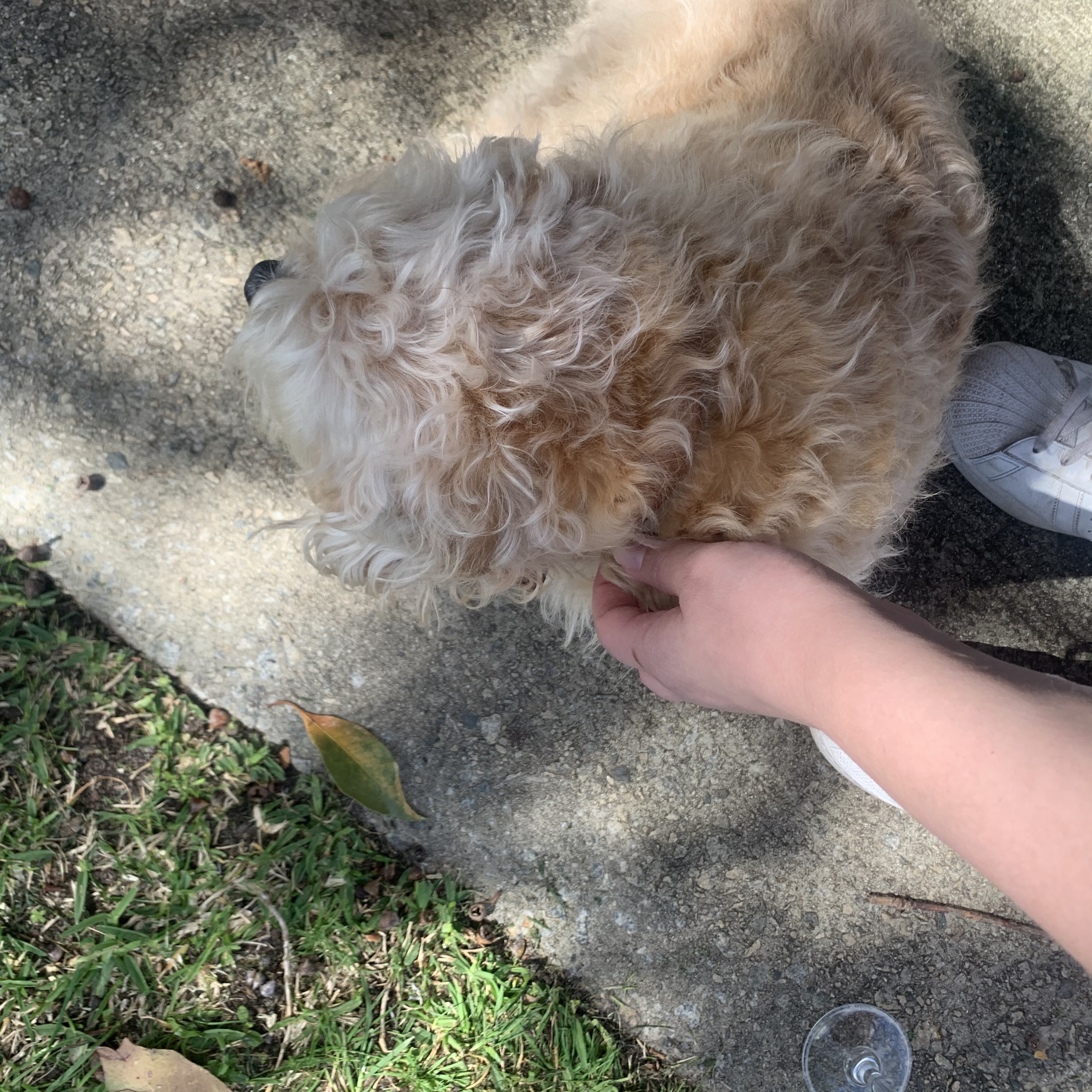 image-8