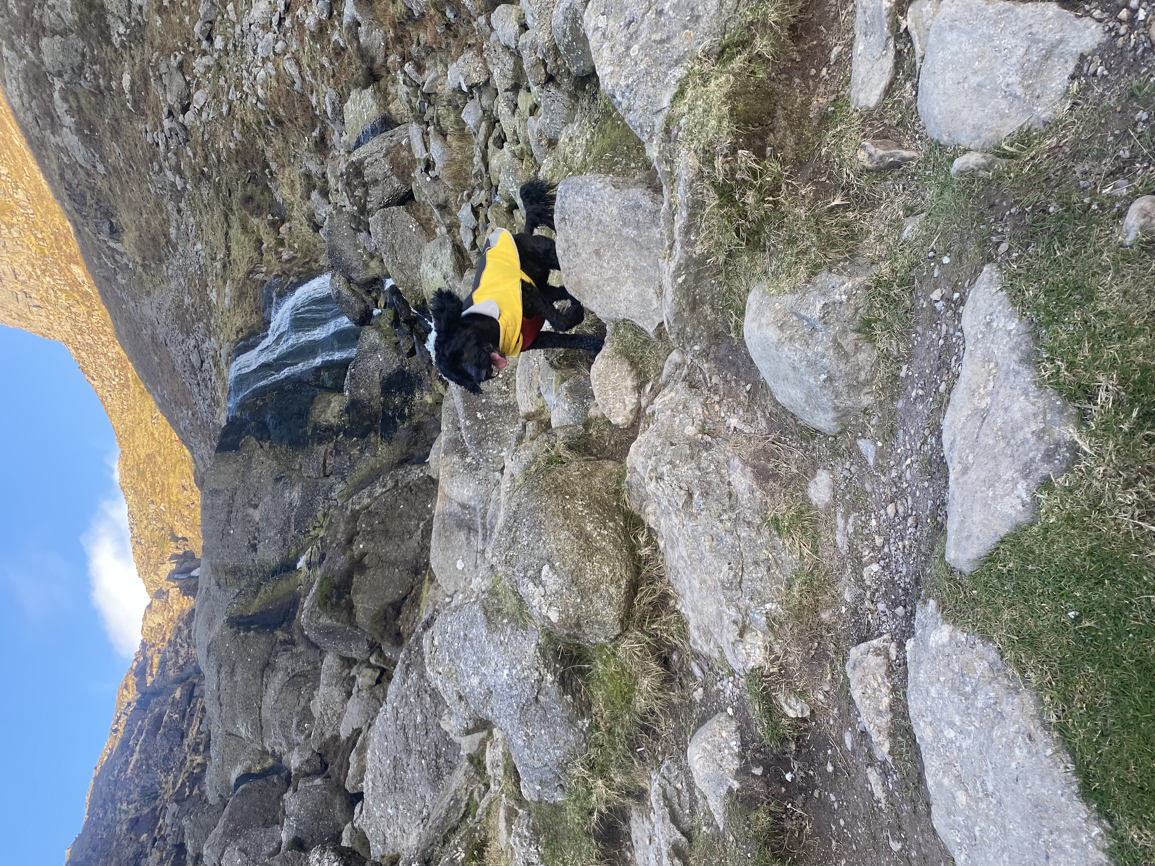 image-13