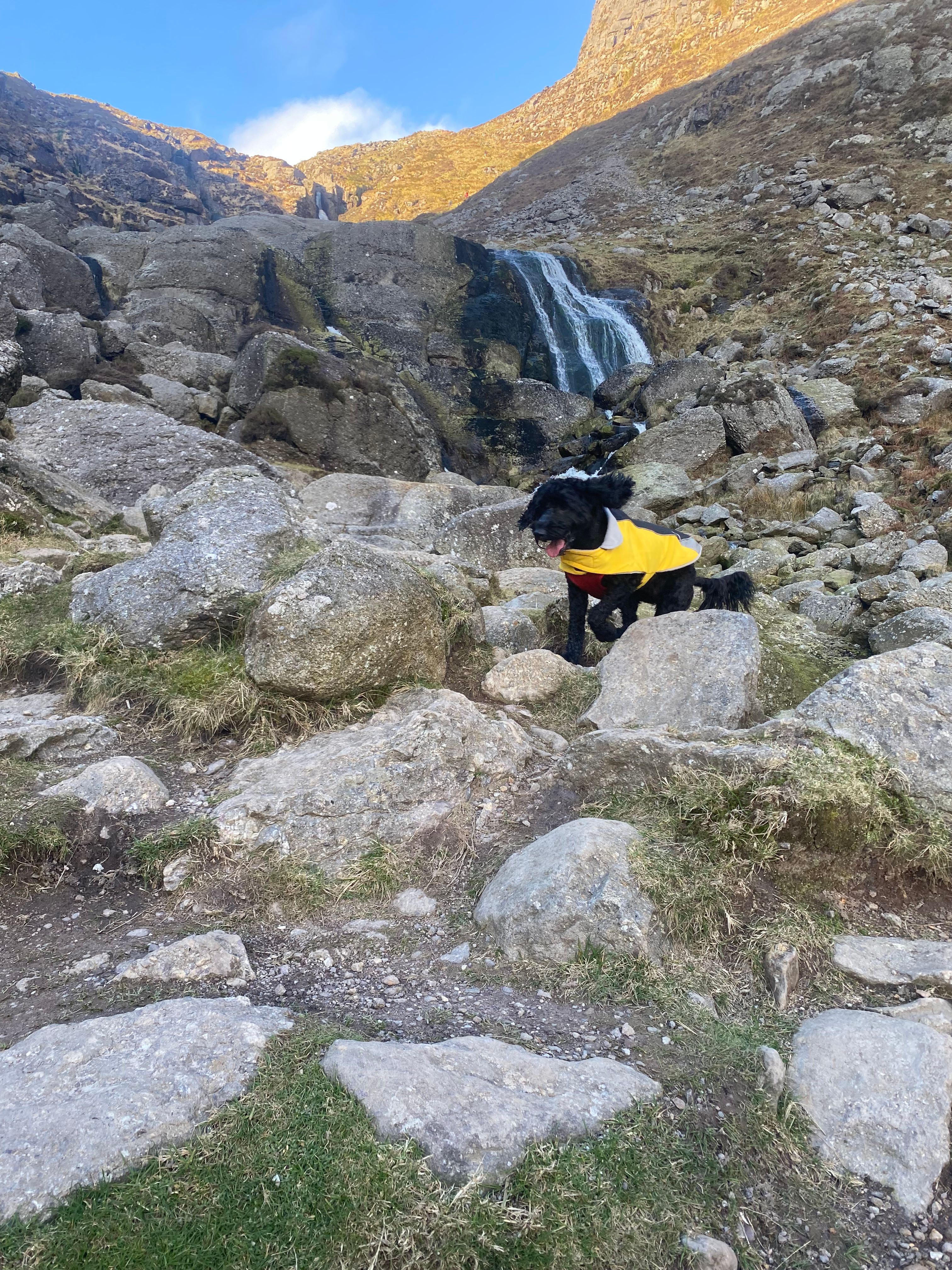 image-13