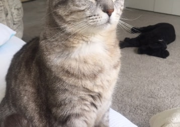 Delilah