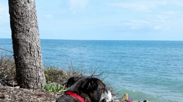image-2