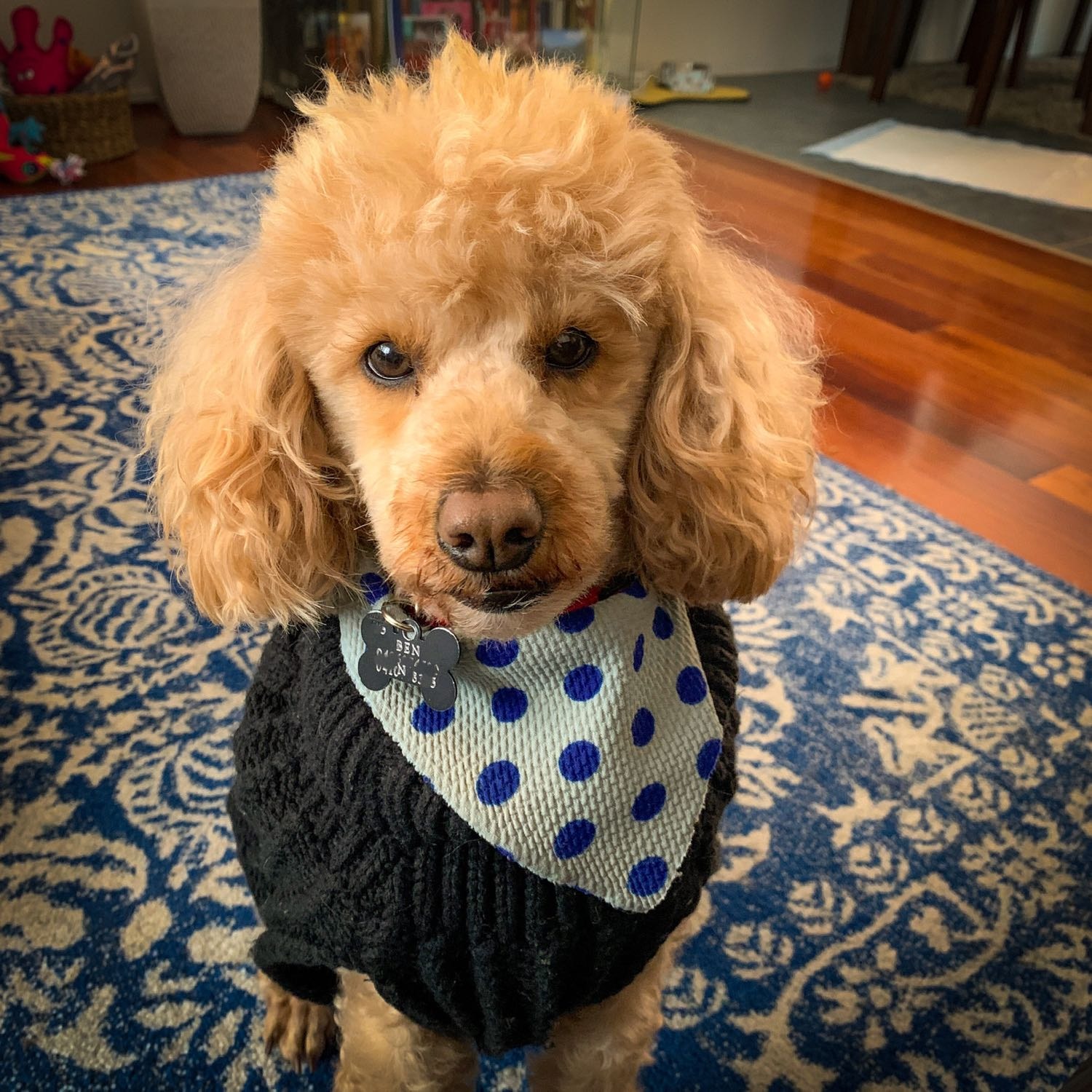 Ben