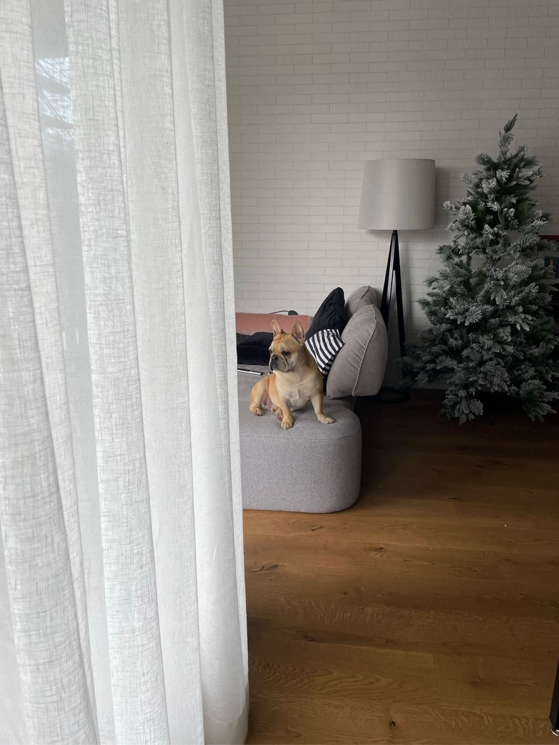 image-10