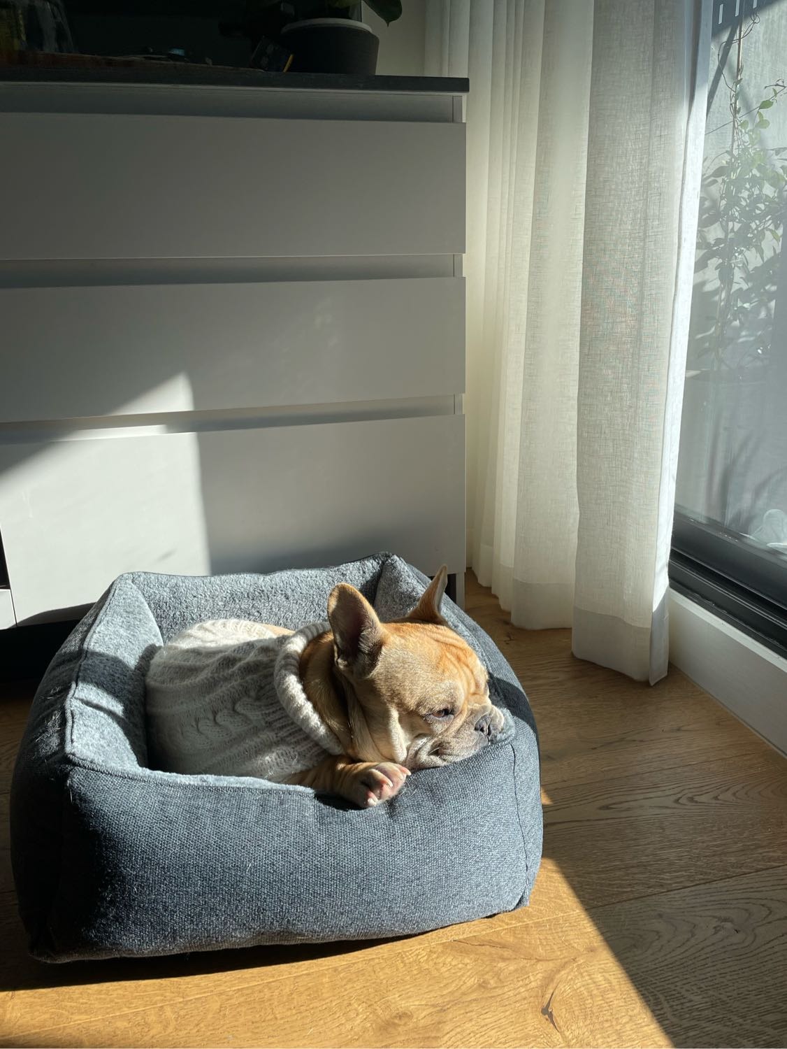 image-7
