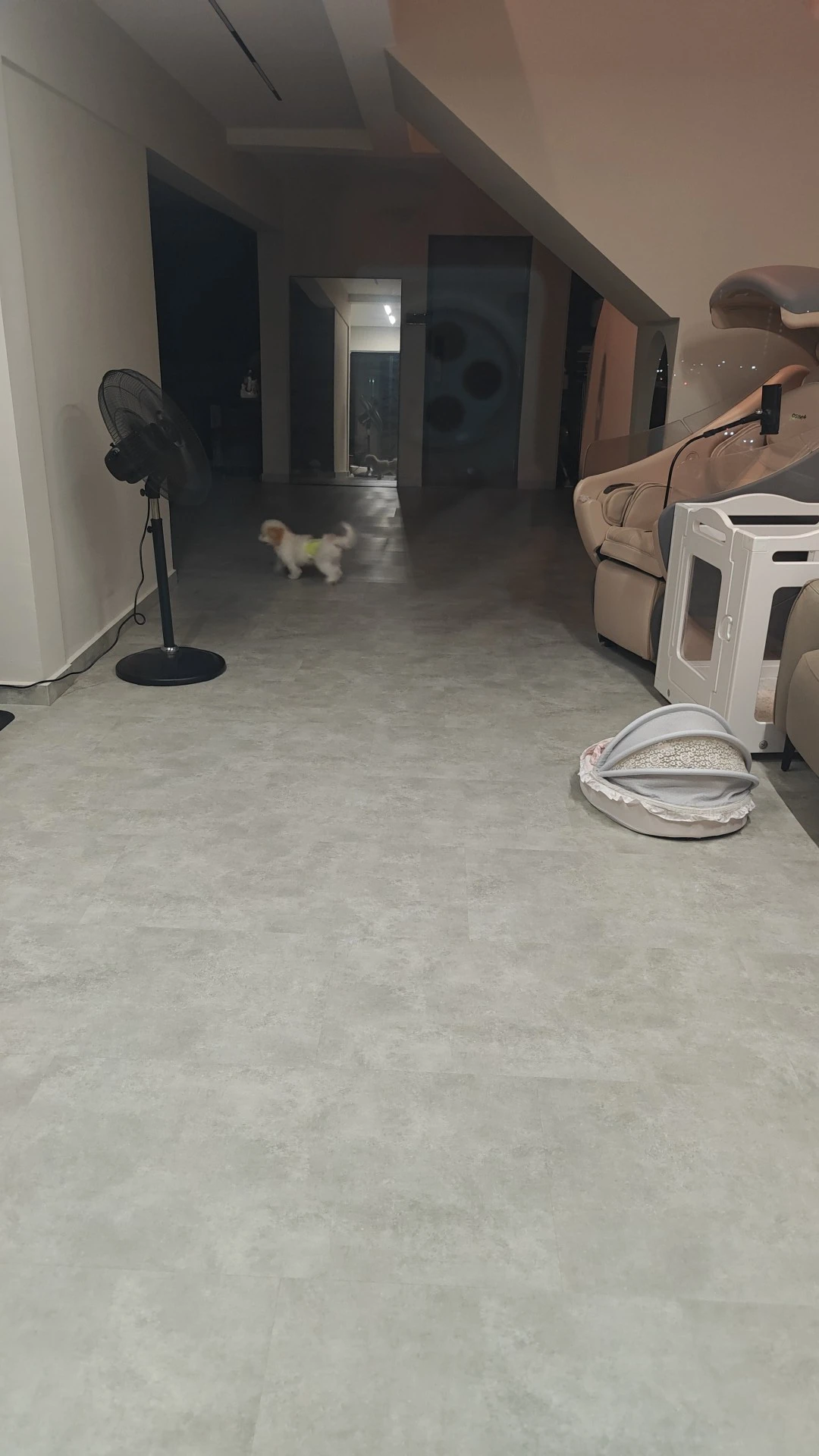 image-18