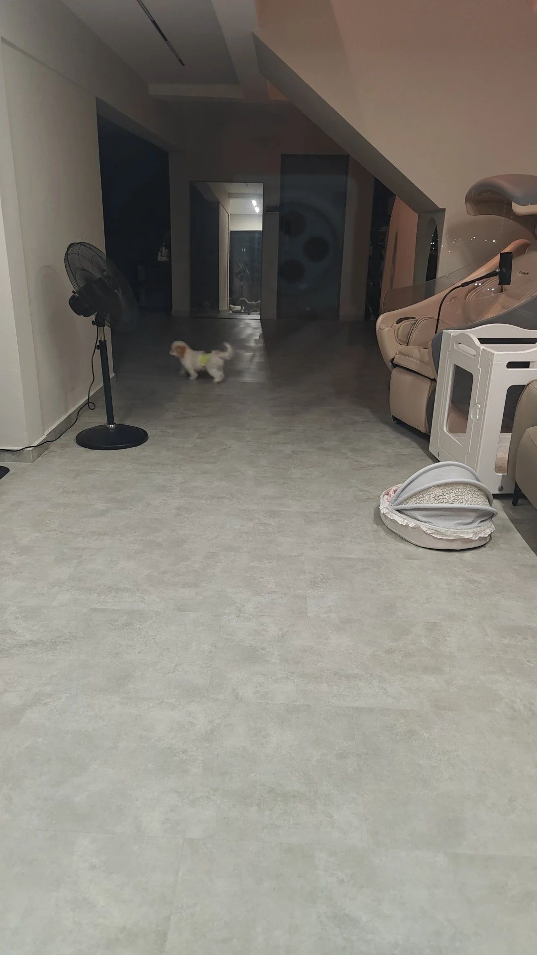 image-18