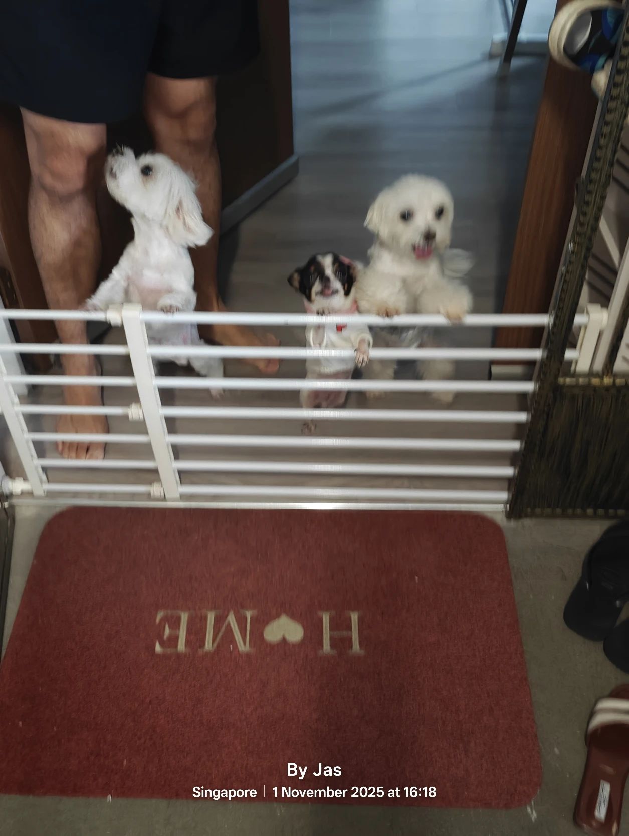 image-14