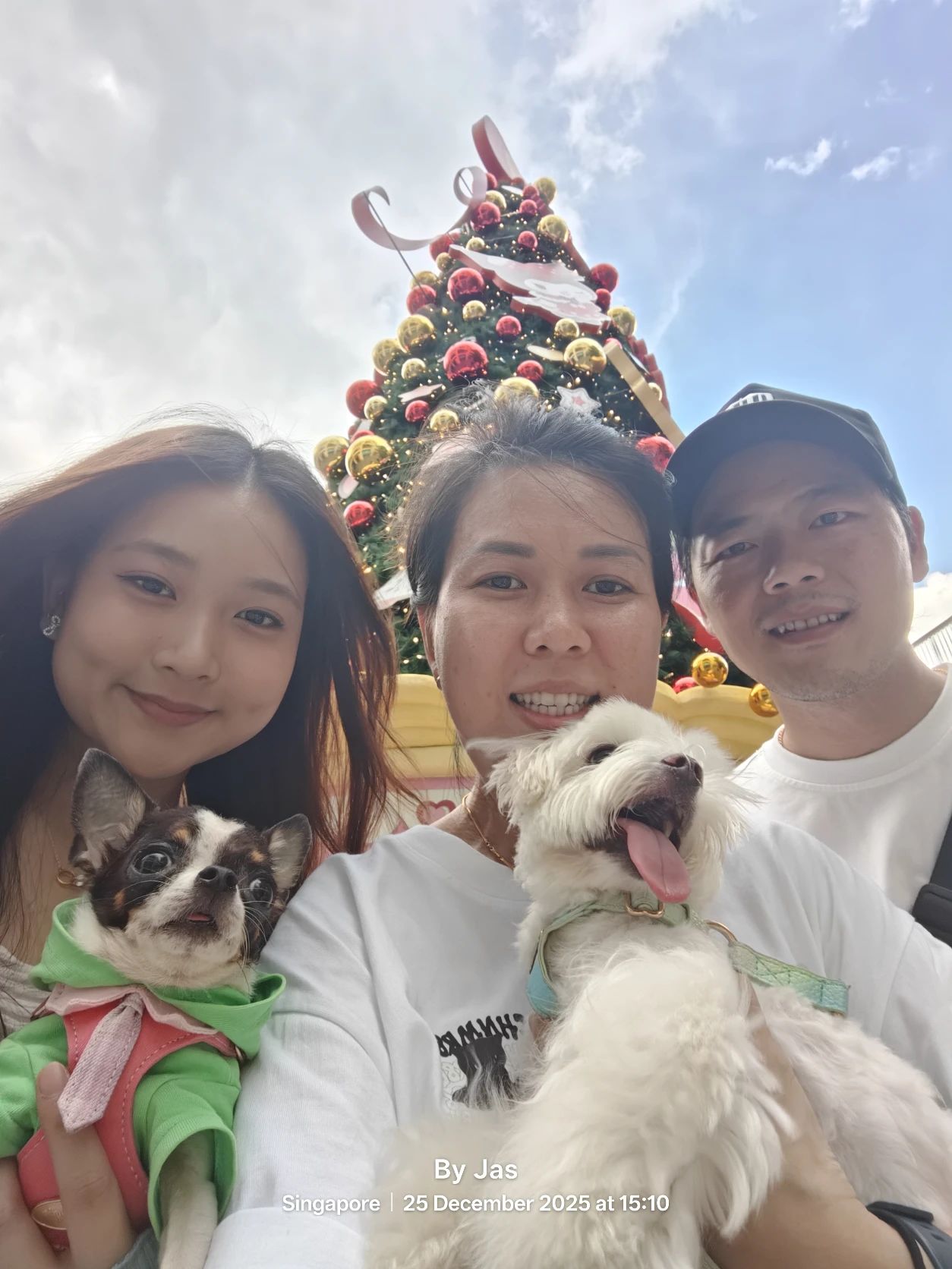 image-10
