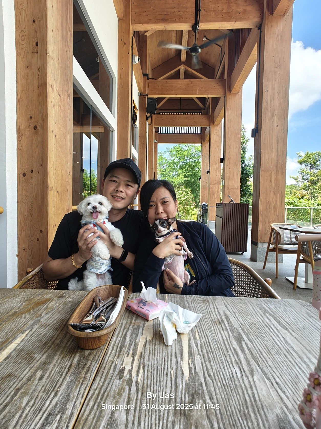 image-17