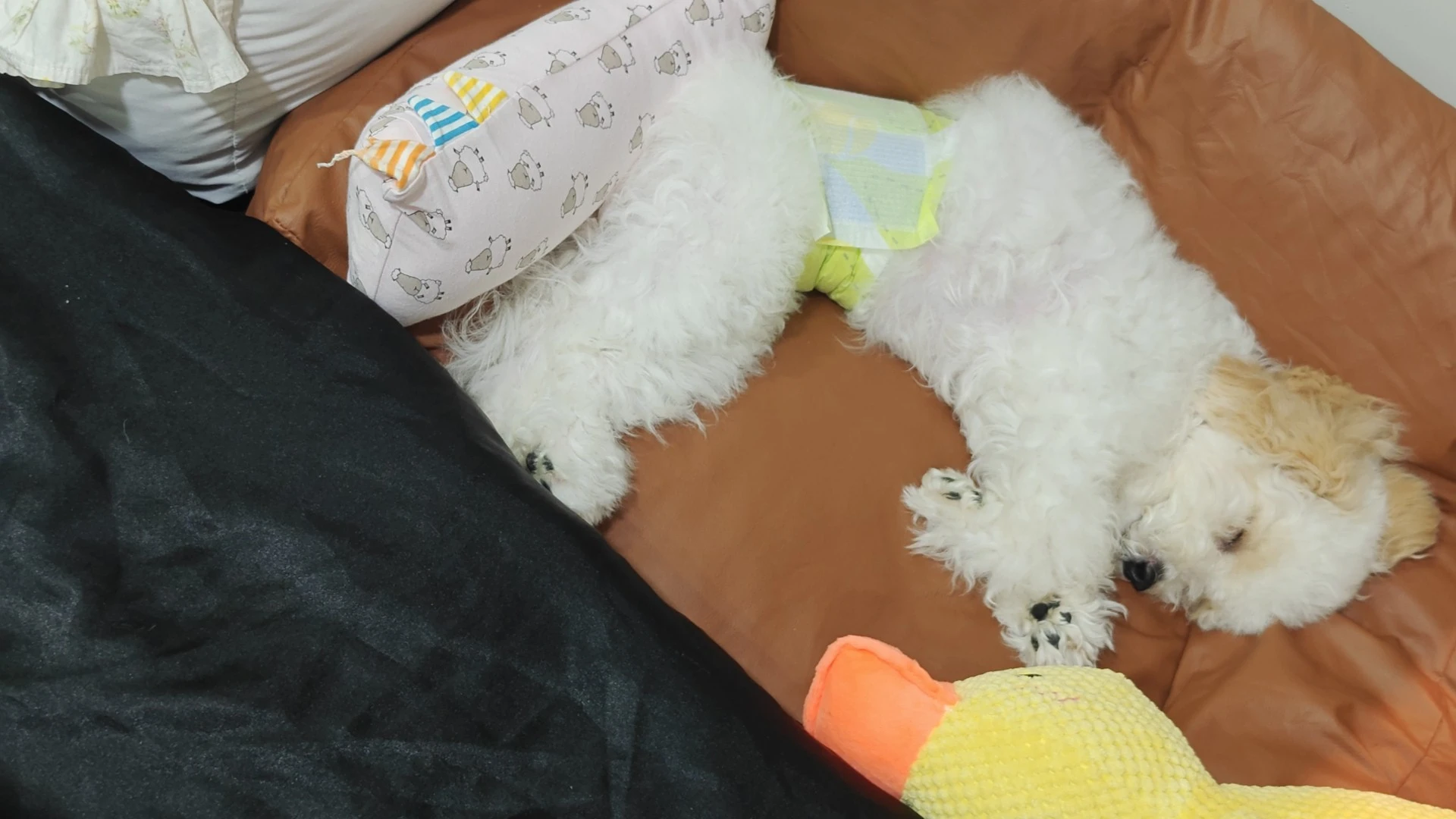 image-6
