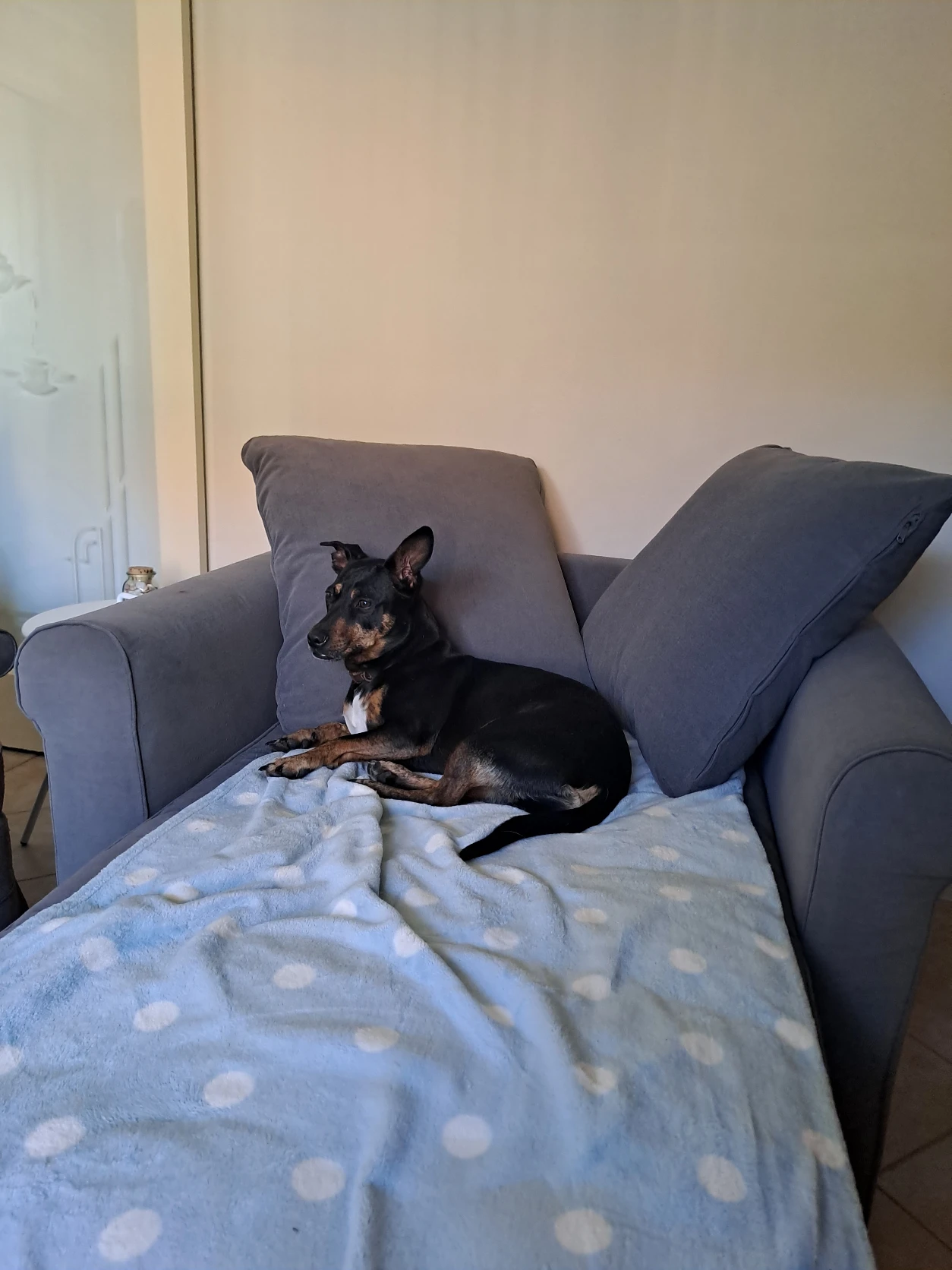 image-13