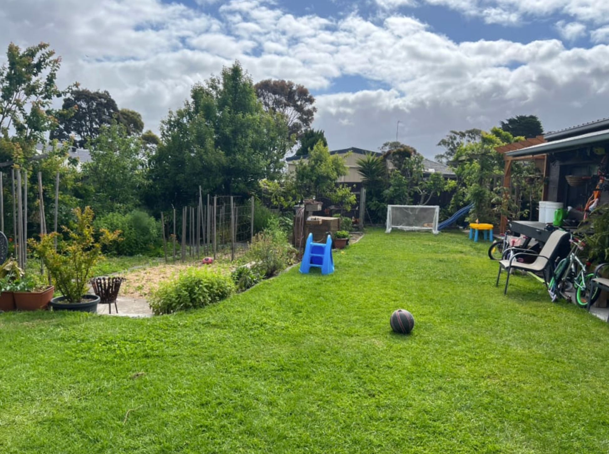 image-19