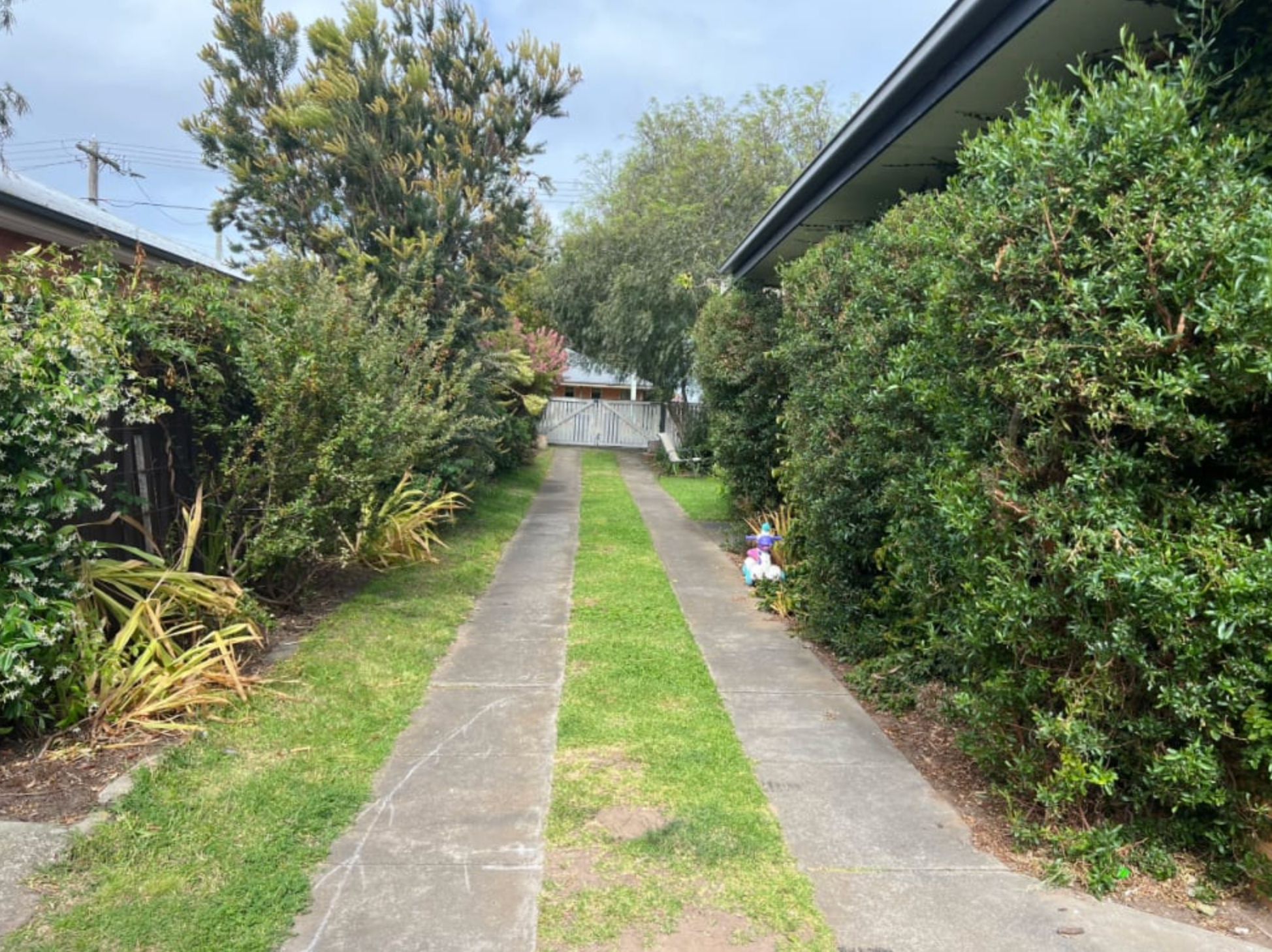 image-18