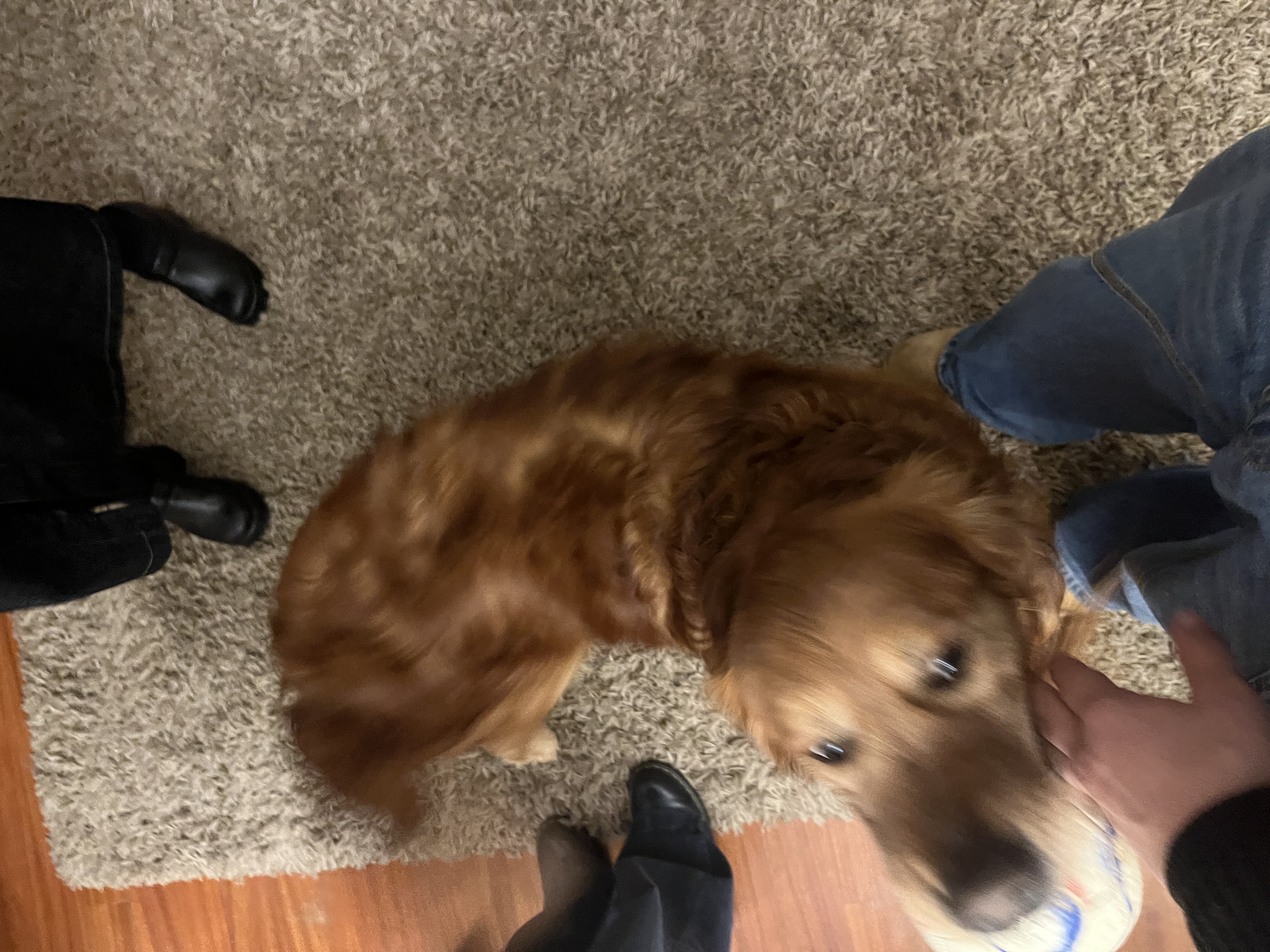 image-8