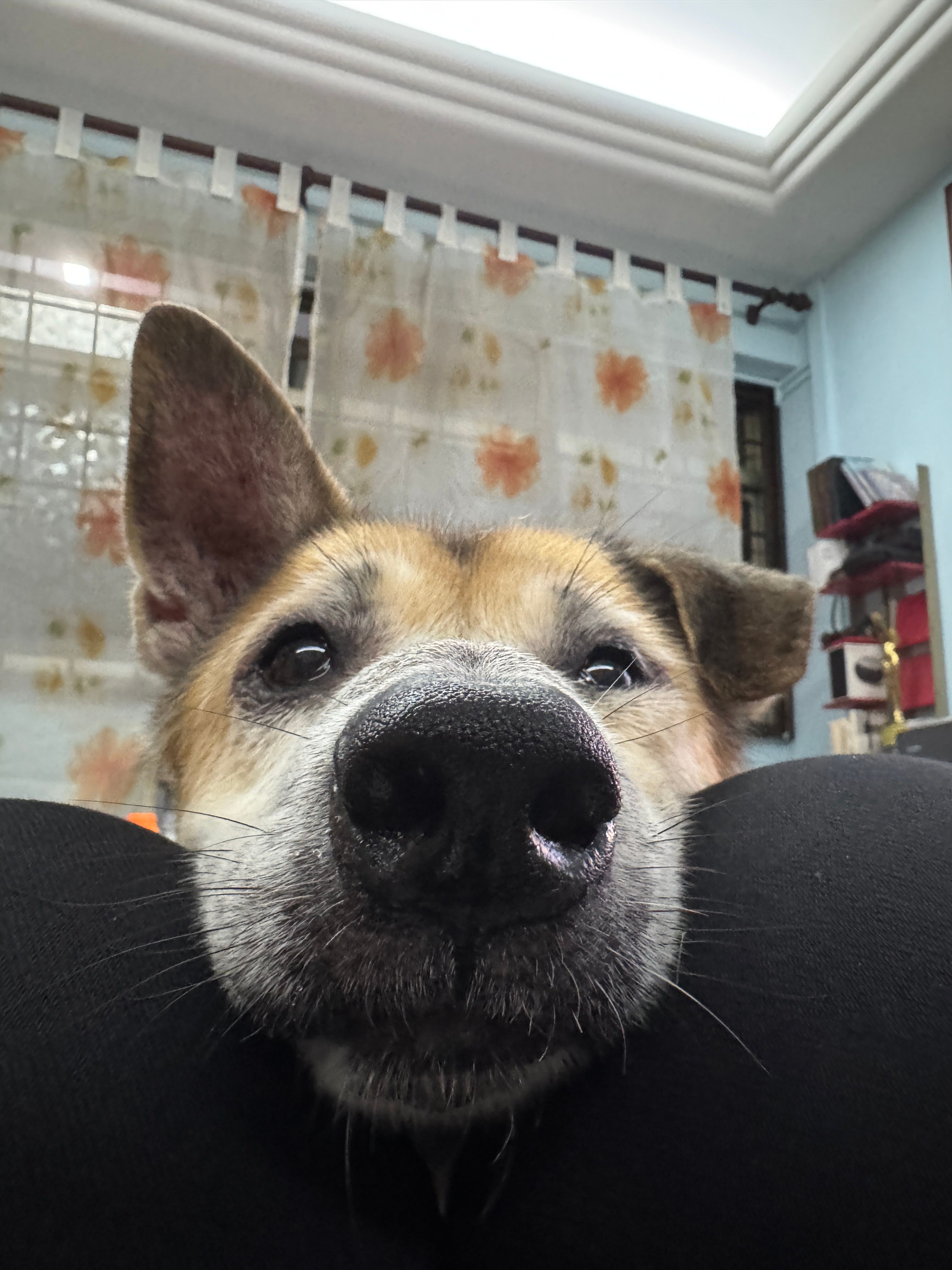 image-8