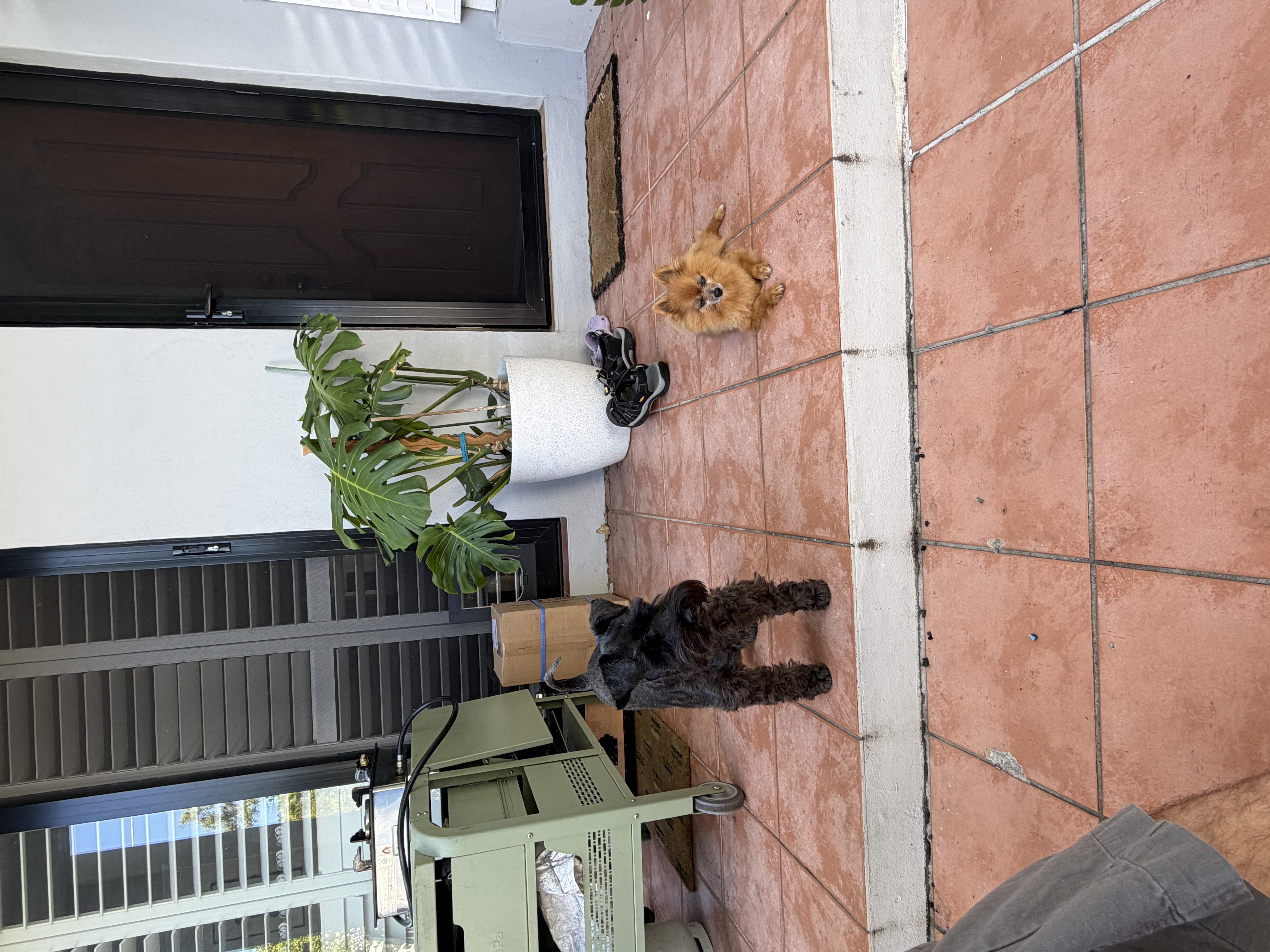 image-11