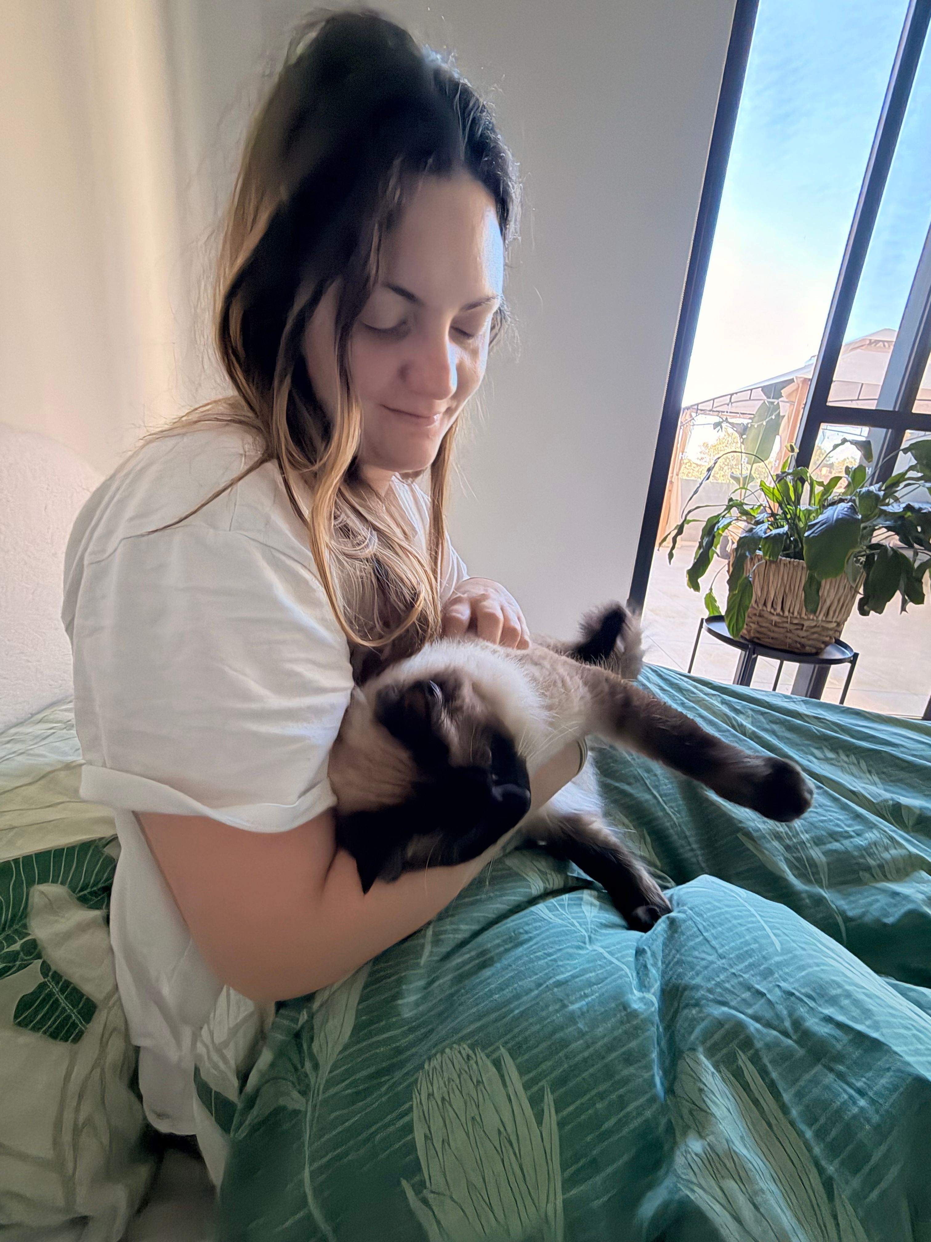 image-6