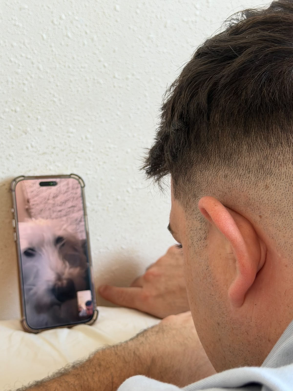 image-0