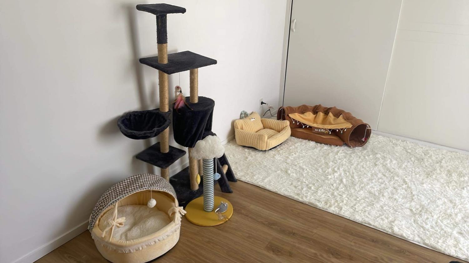 image-16