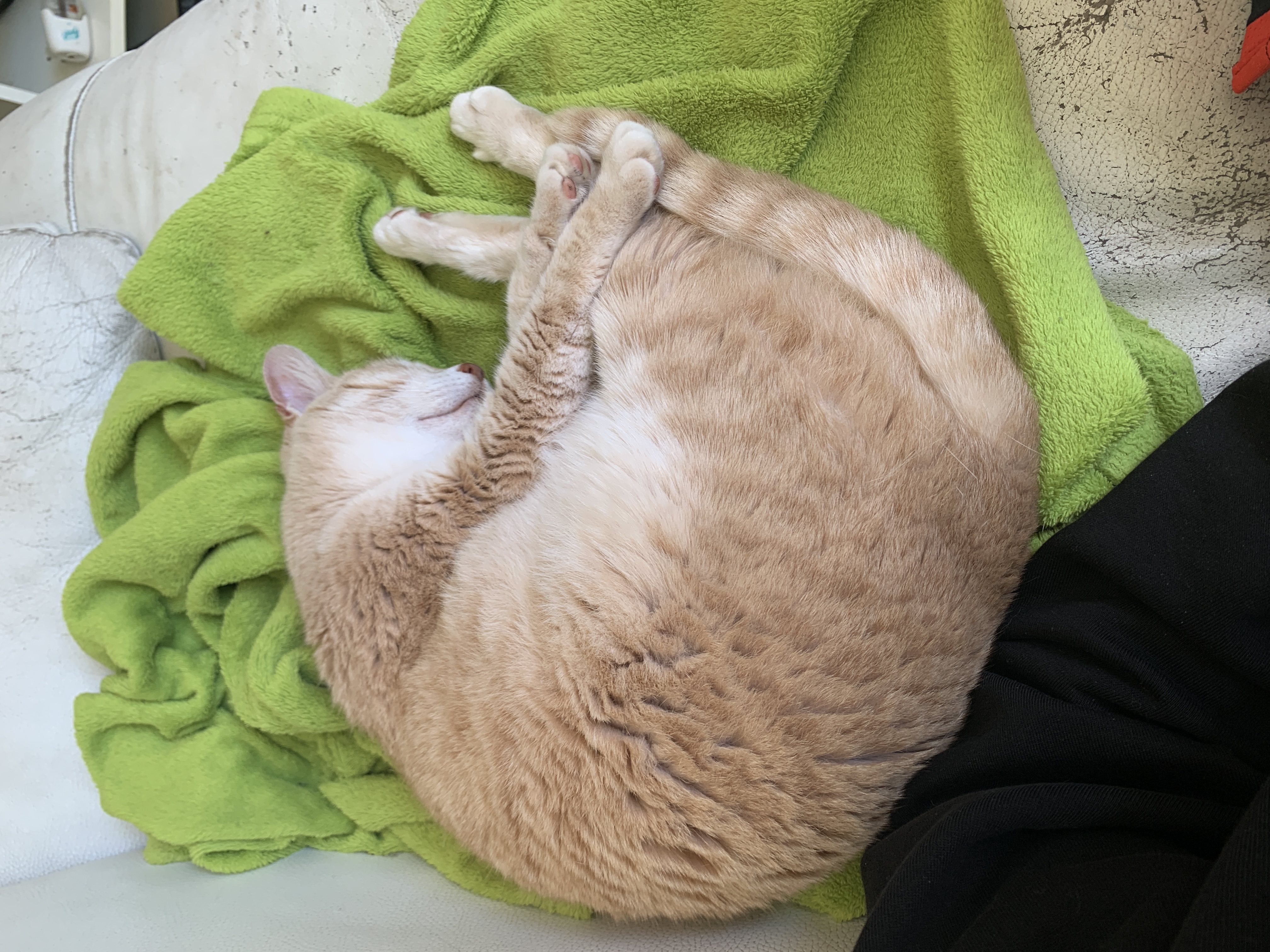 image-11