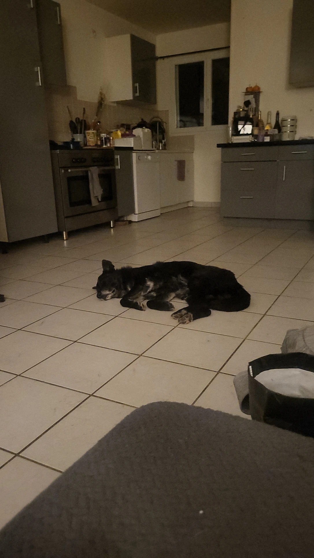 image-17