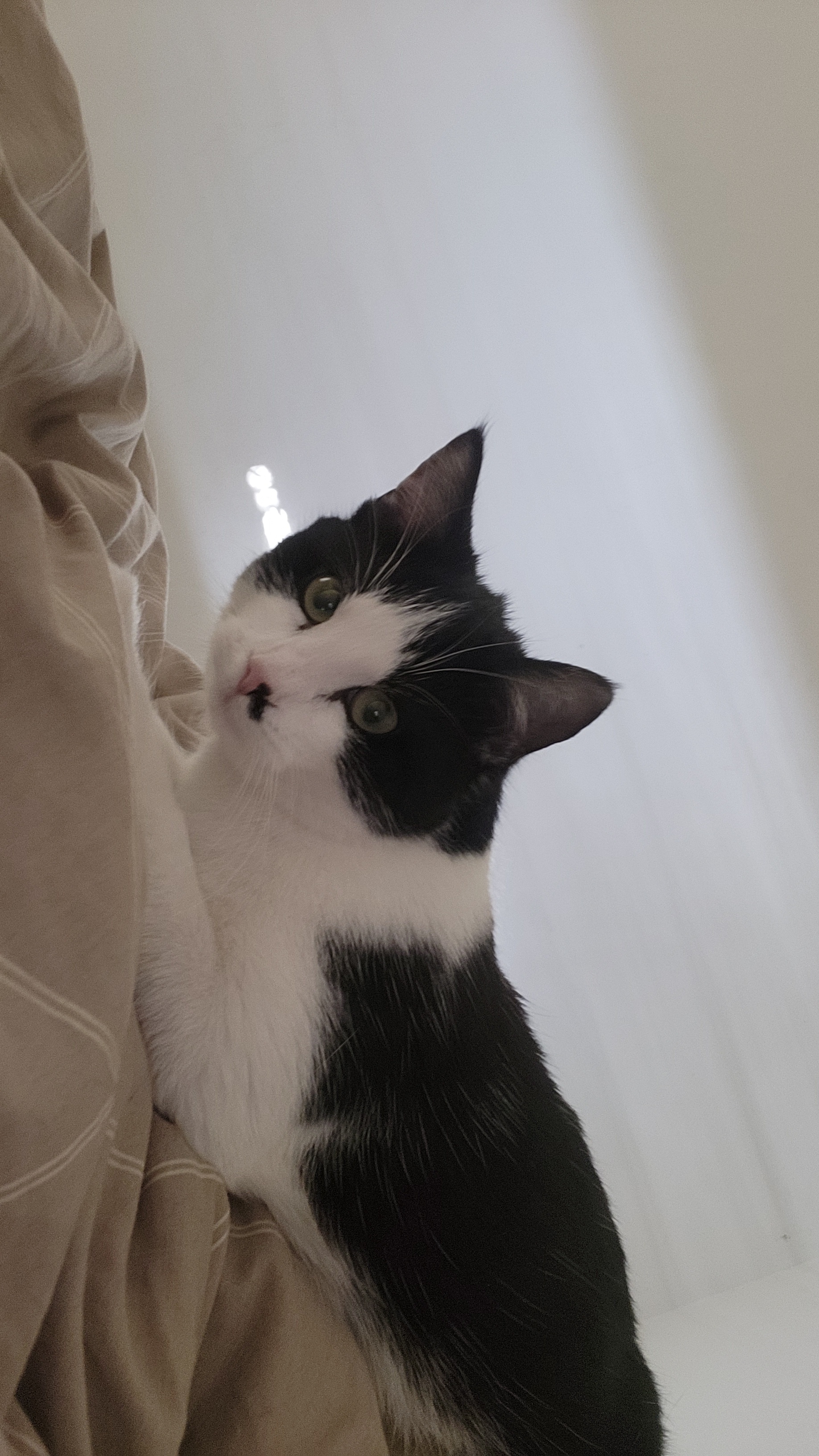 image-6