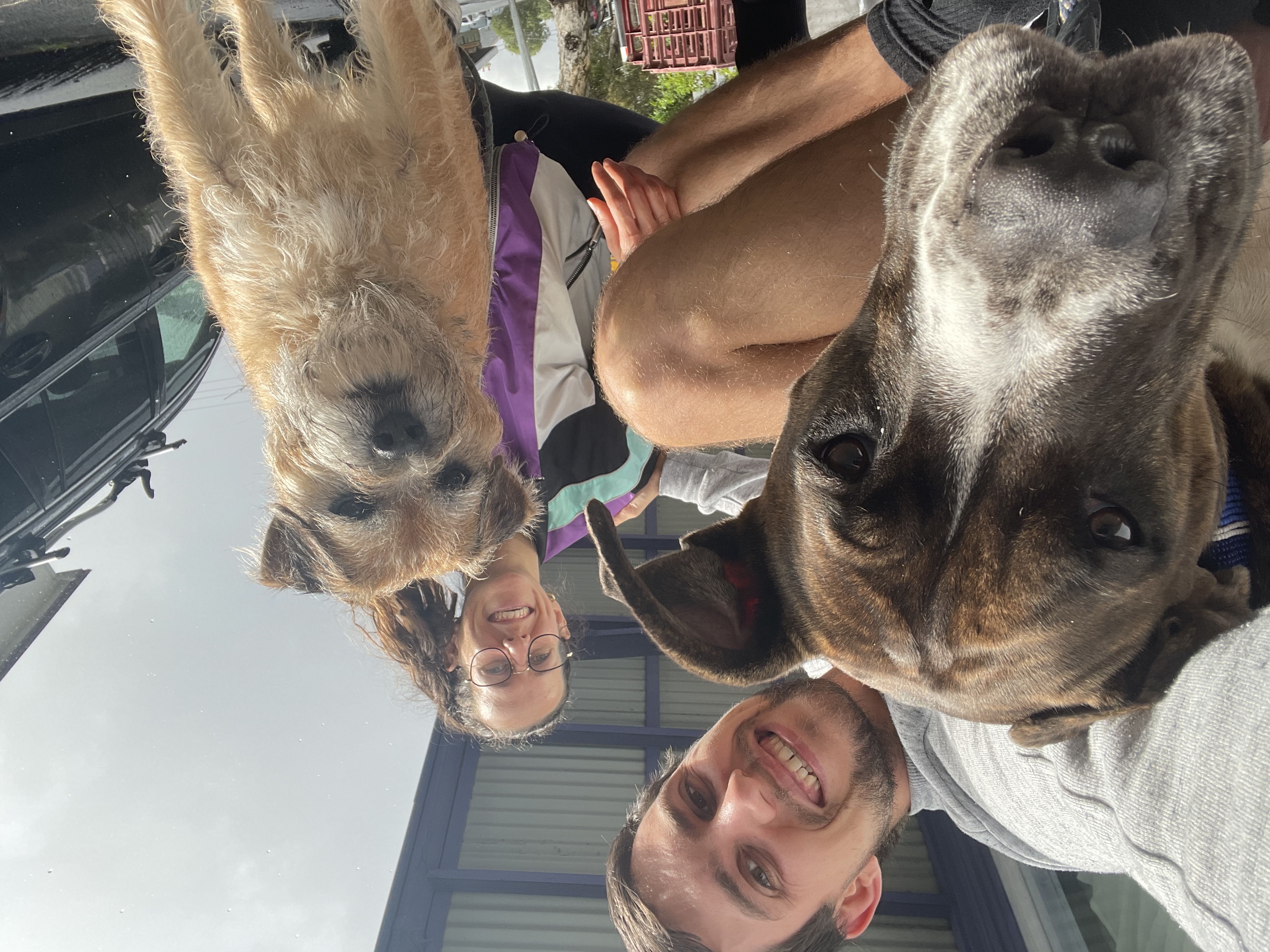 image-0