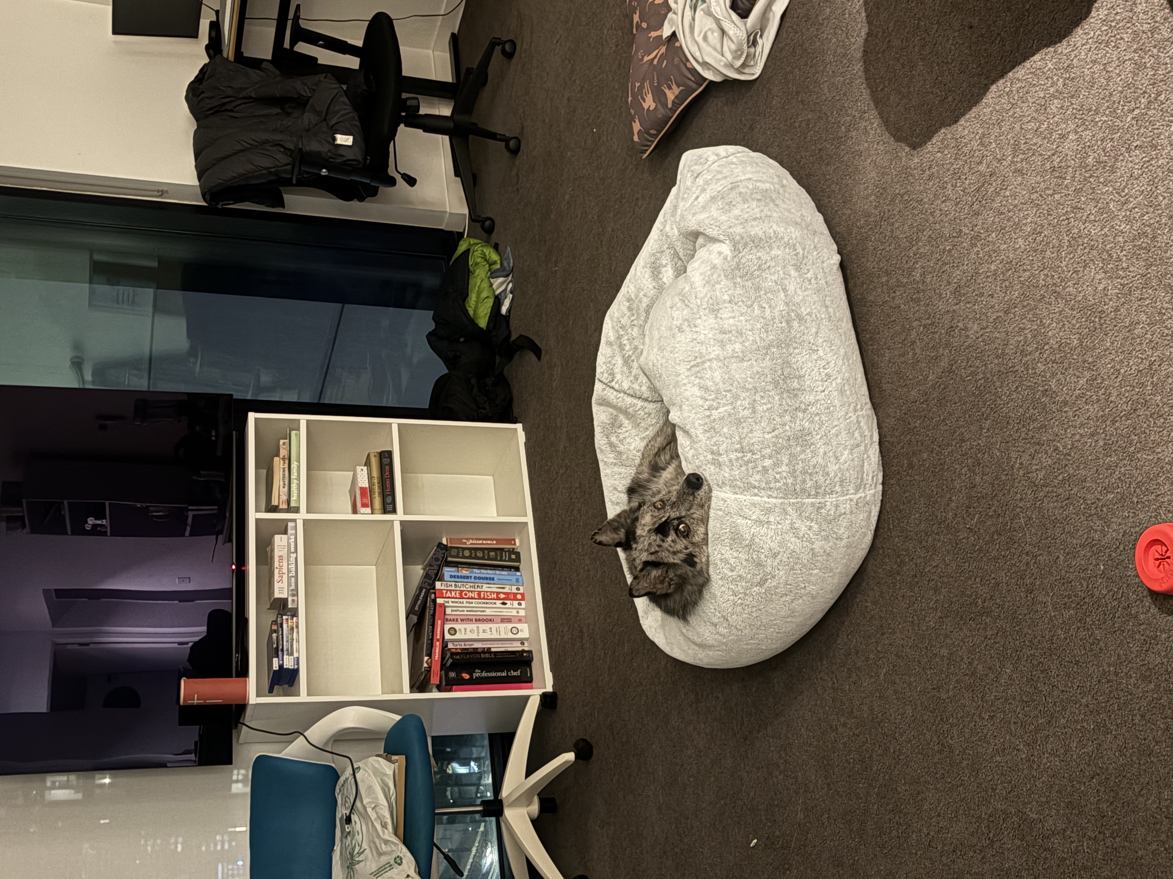 image-10