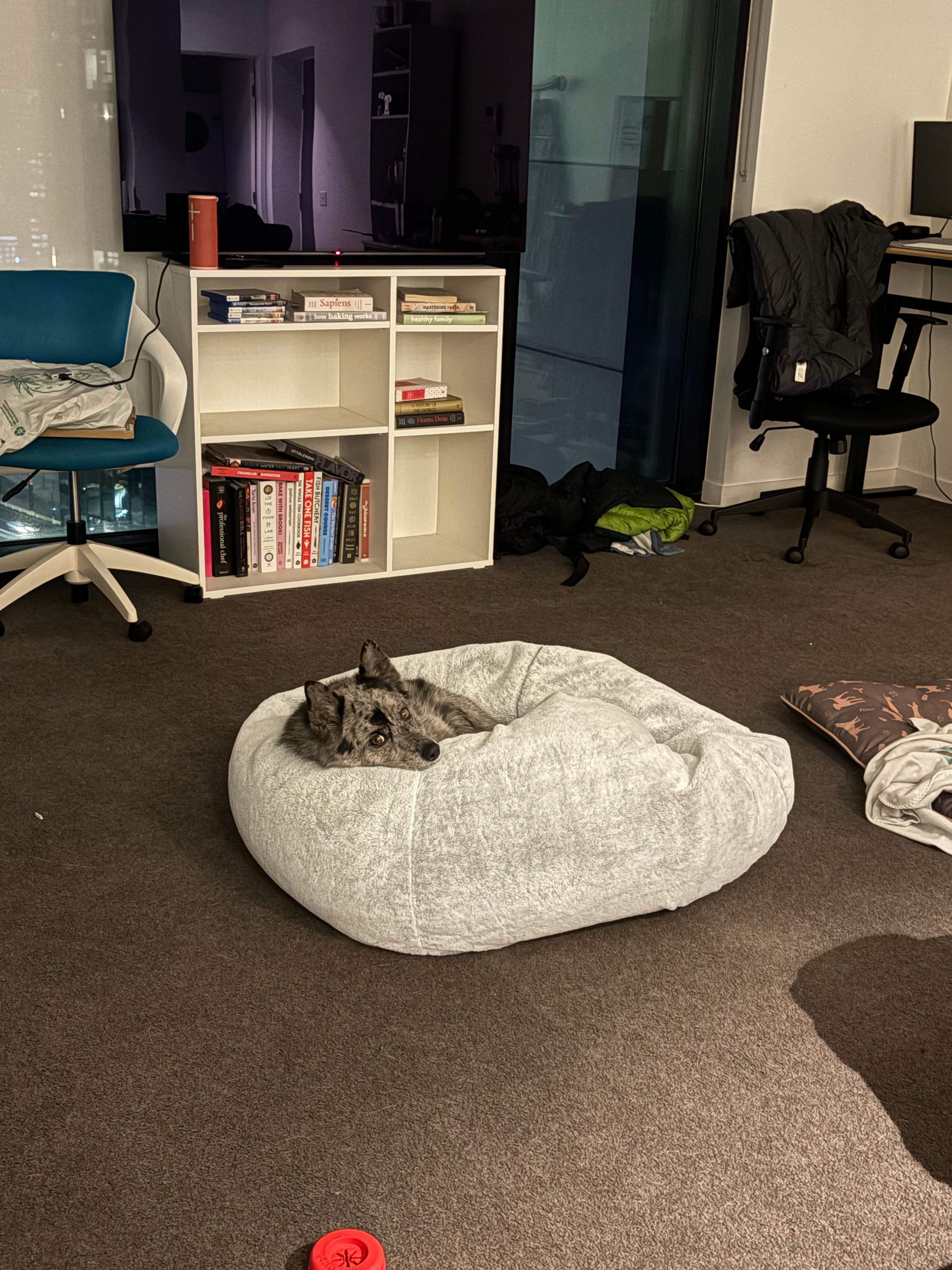 image-10