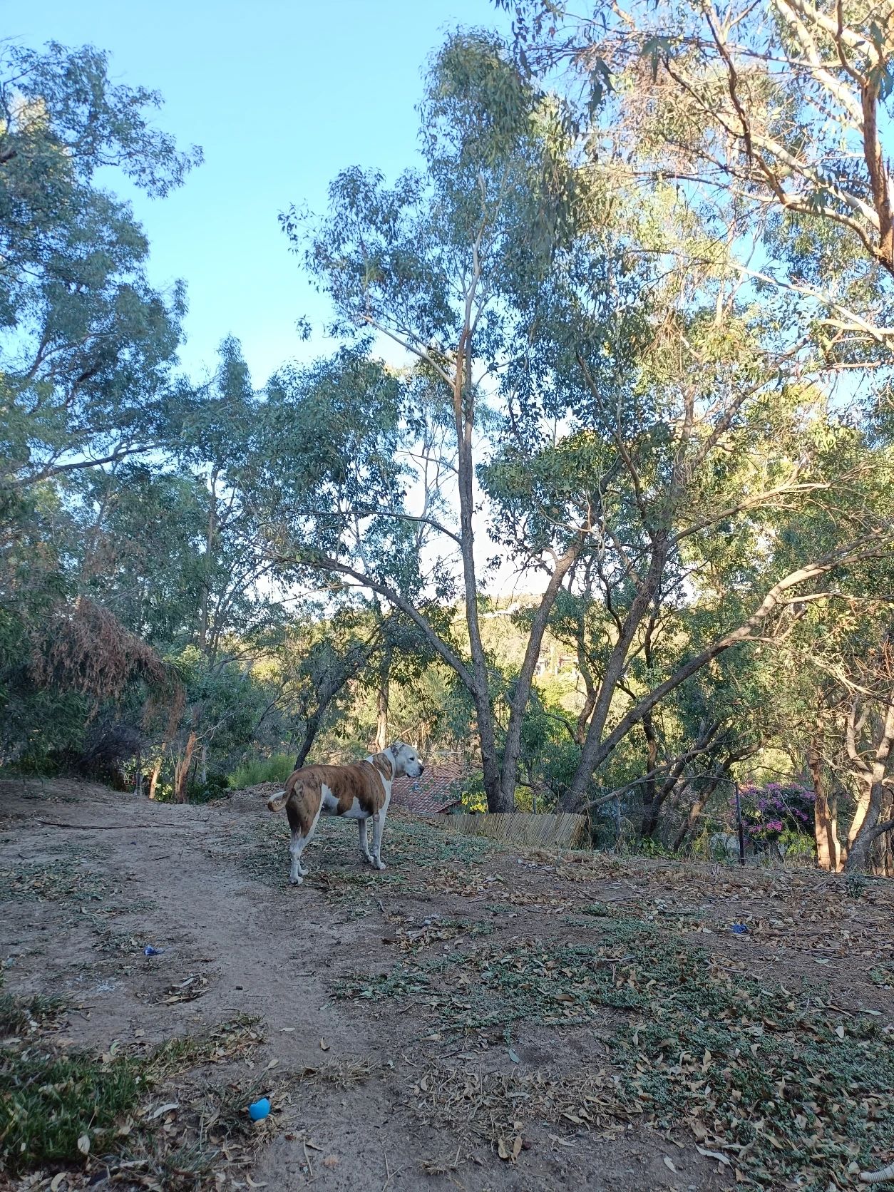 image-14