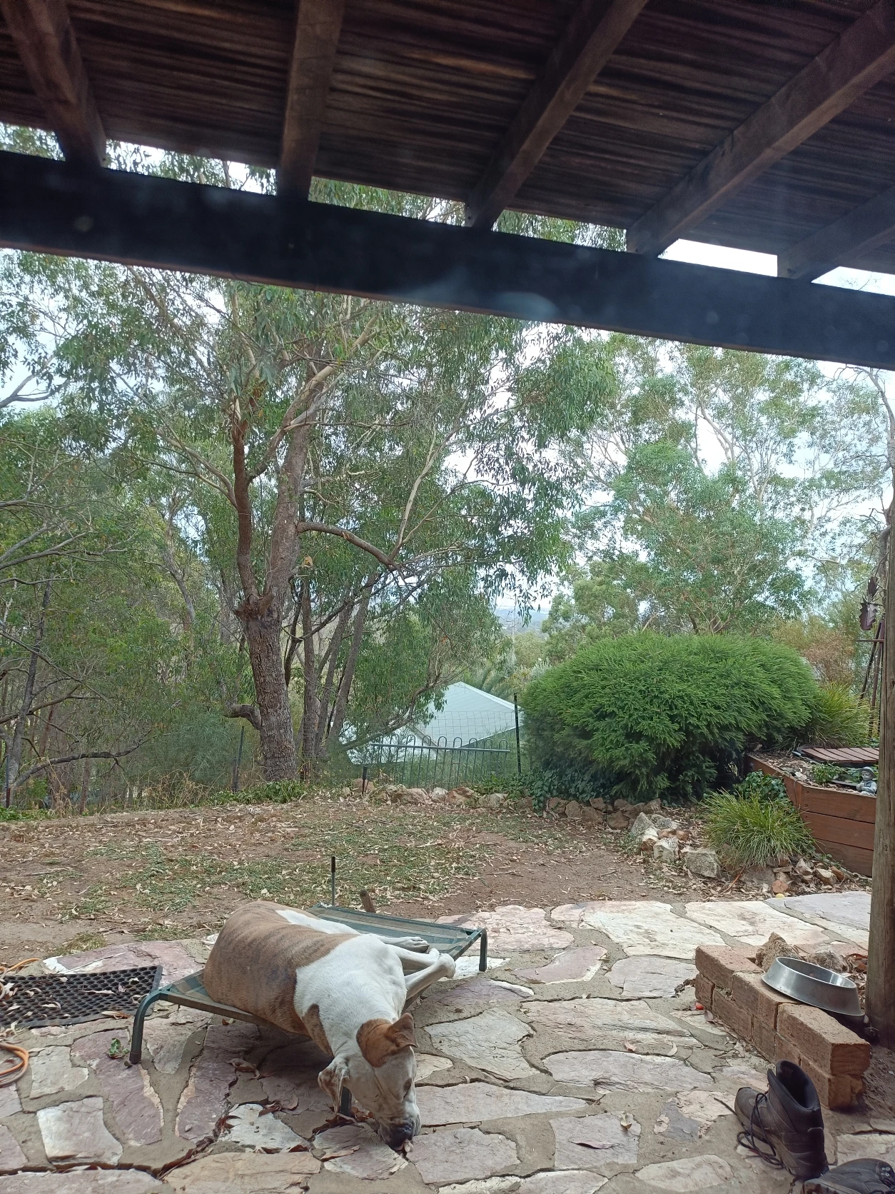 image-13