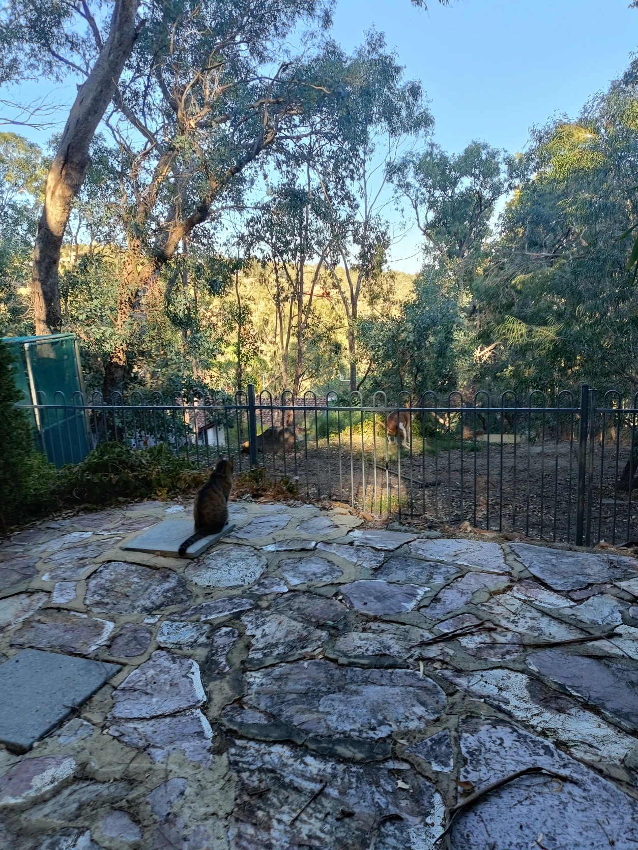 image-12