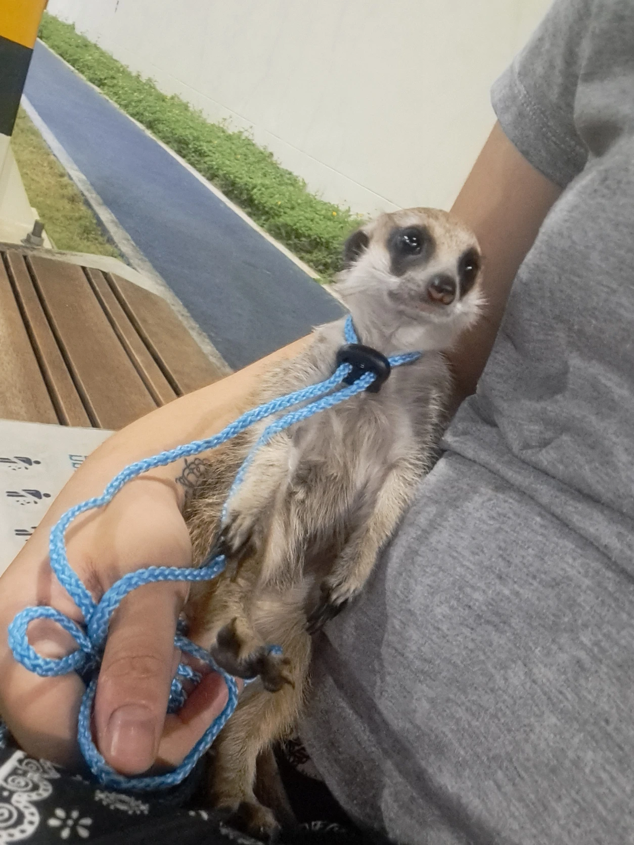 image-8