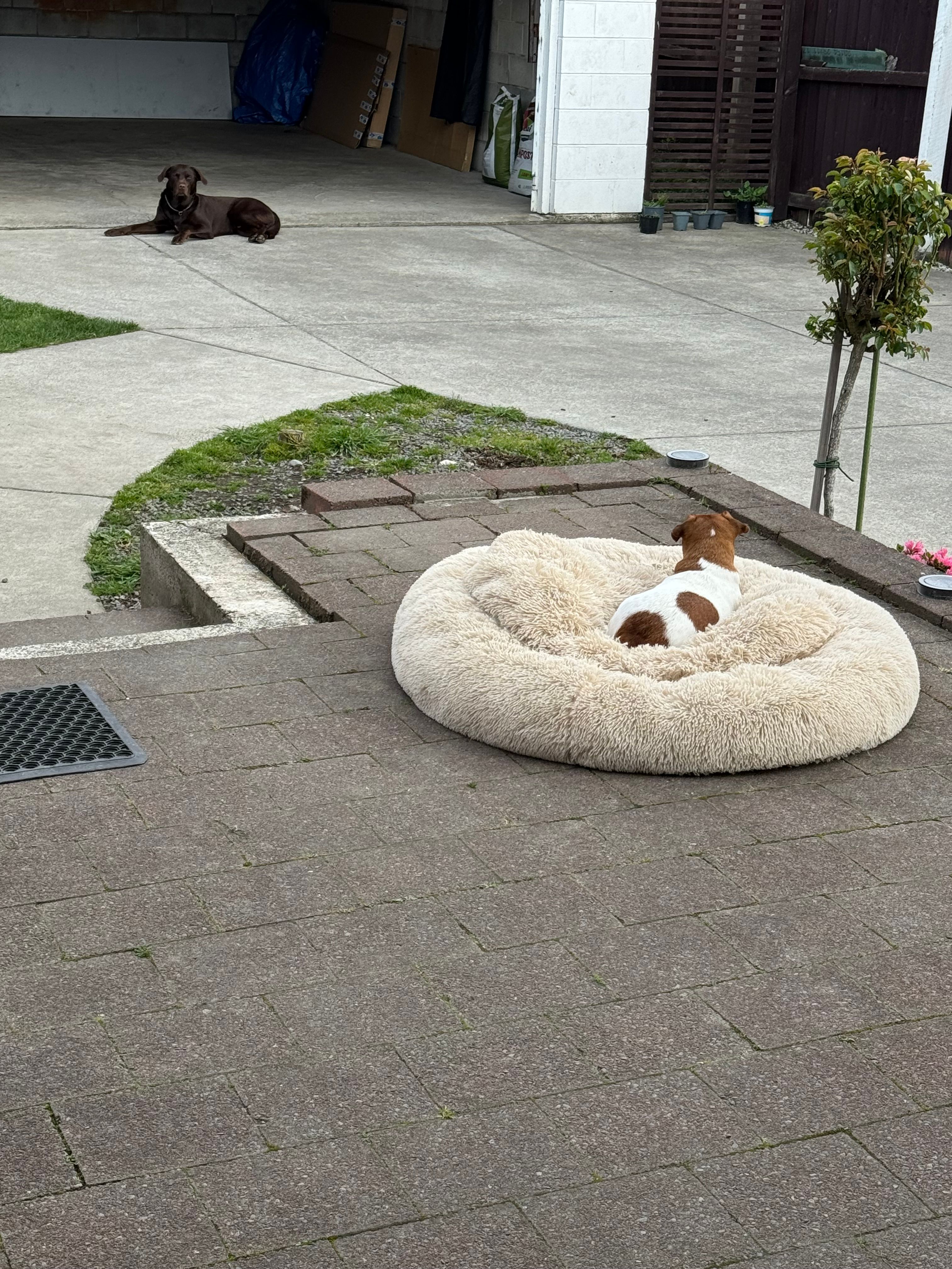 image-17