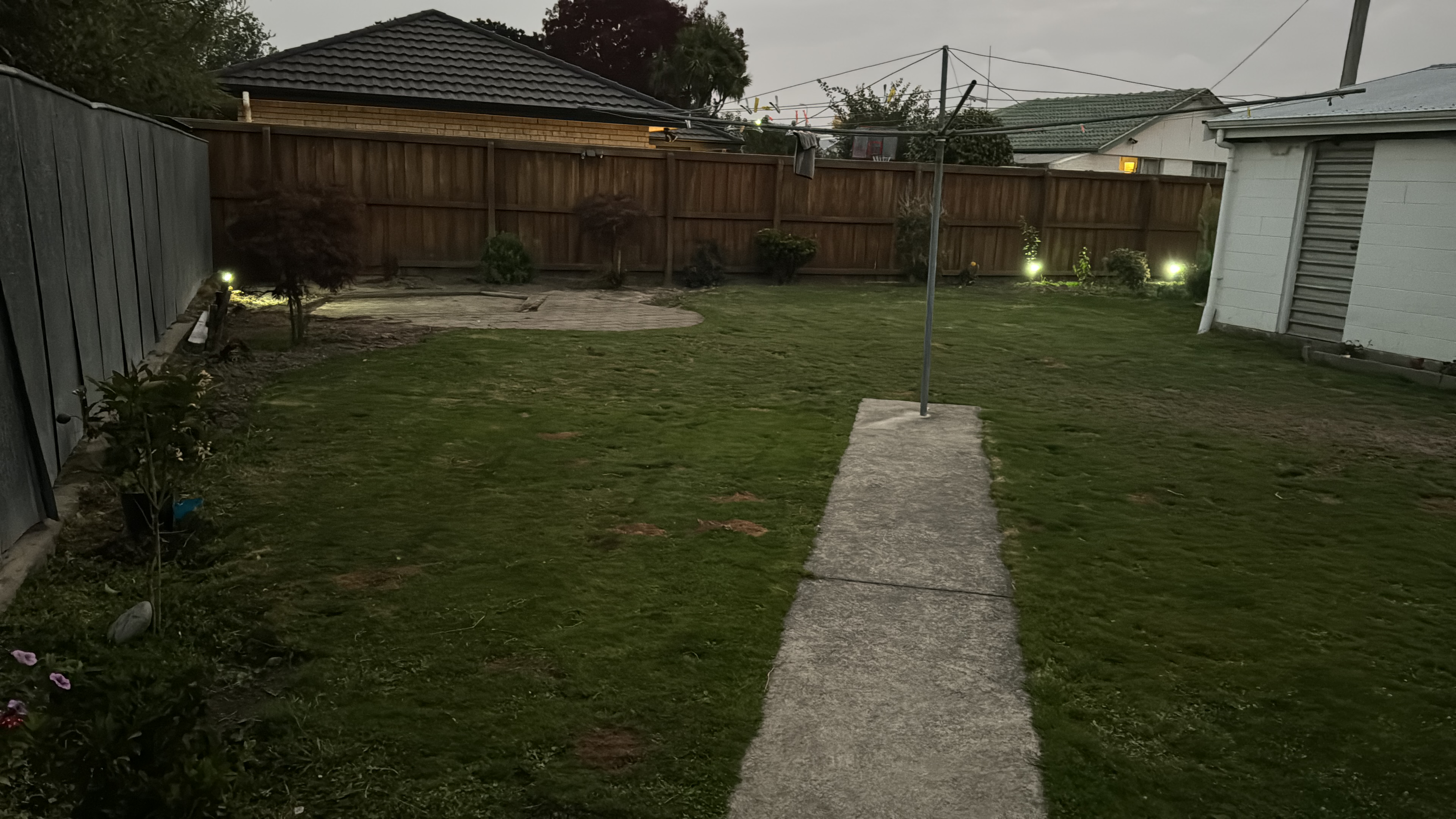image-19