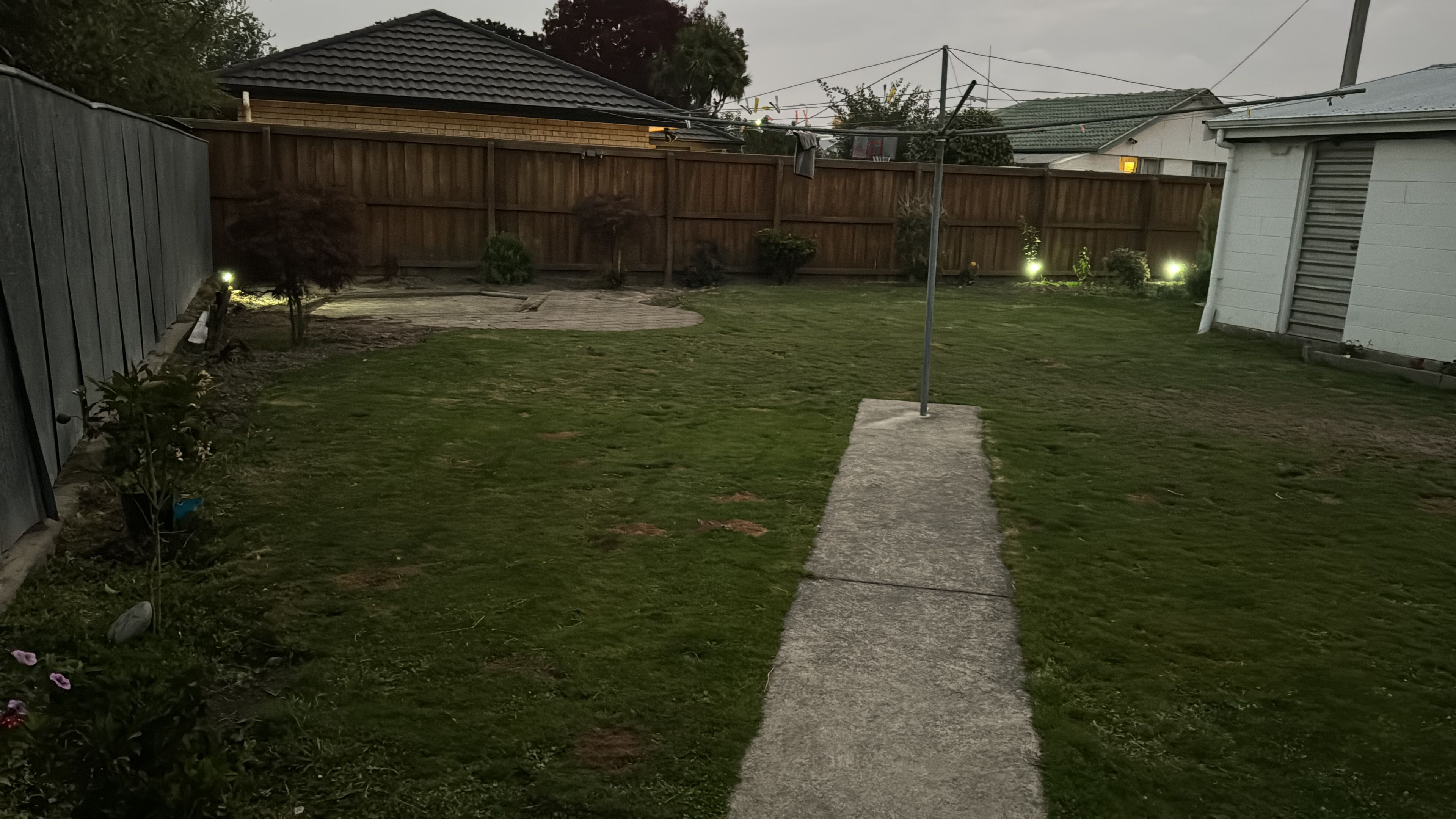 image-19