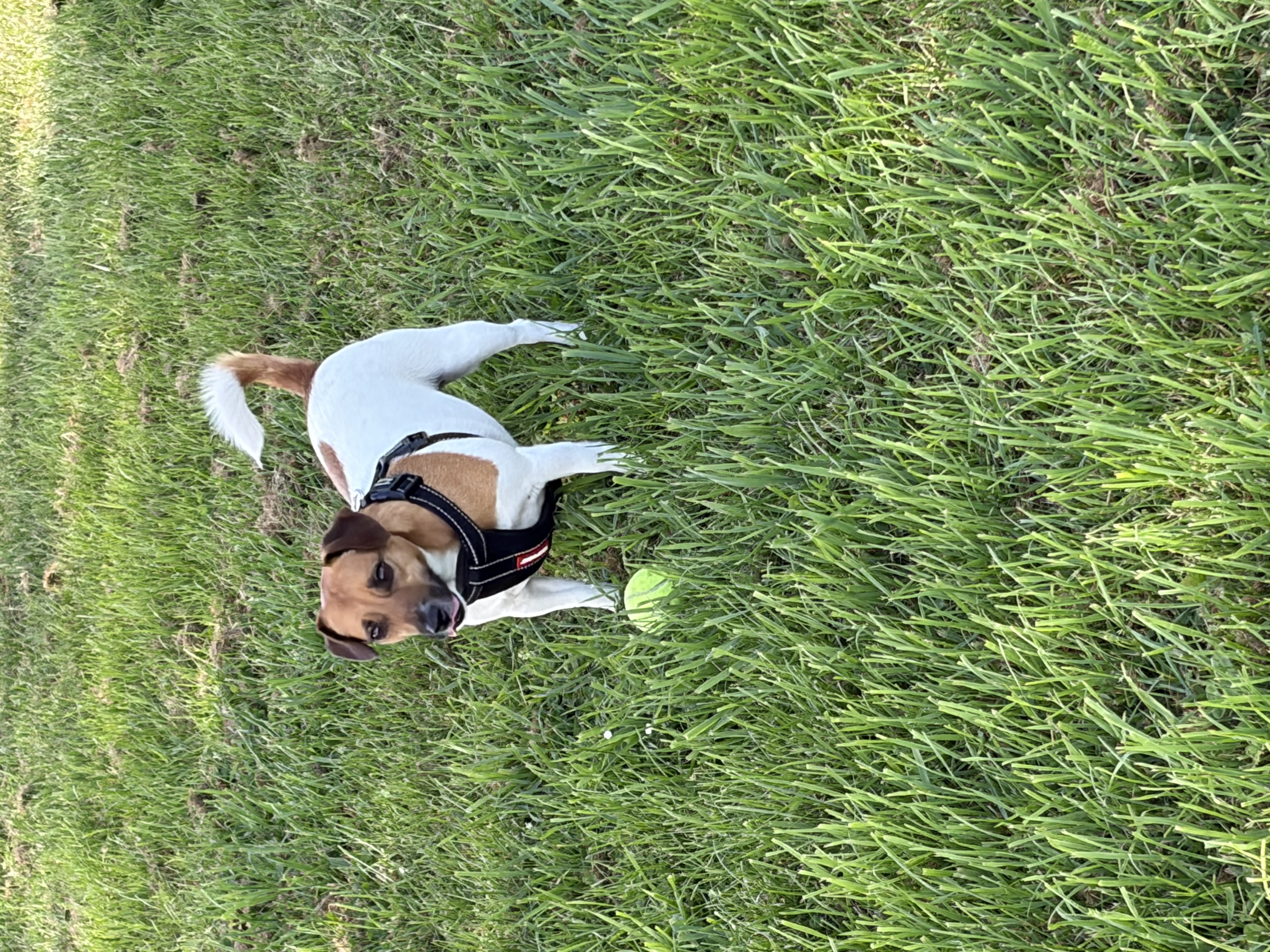 image-11