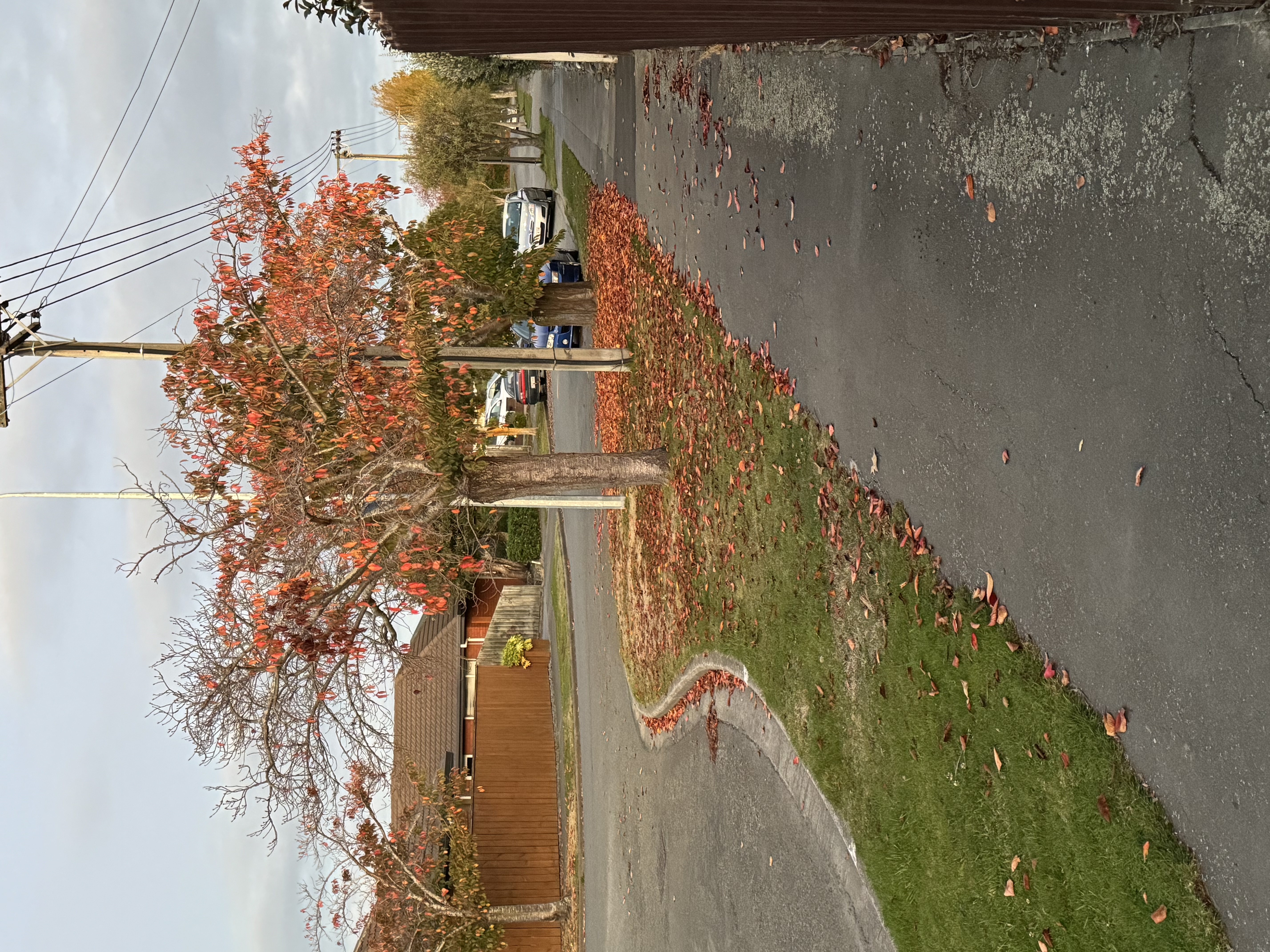 image-18