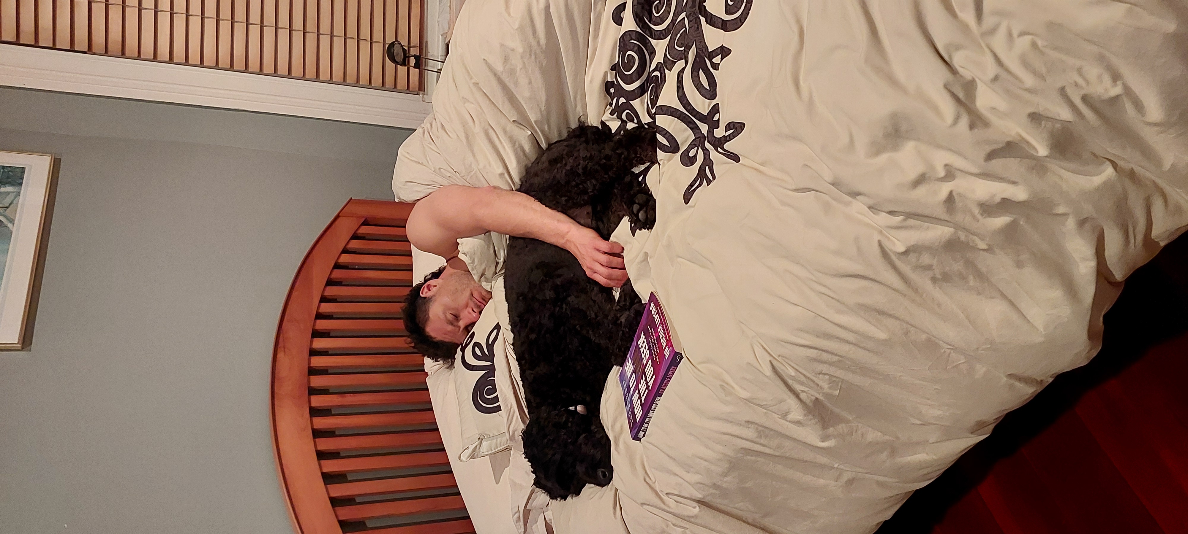 image-7