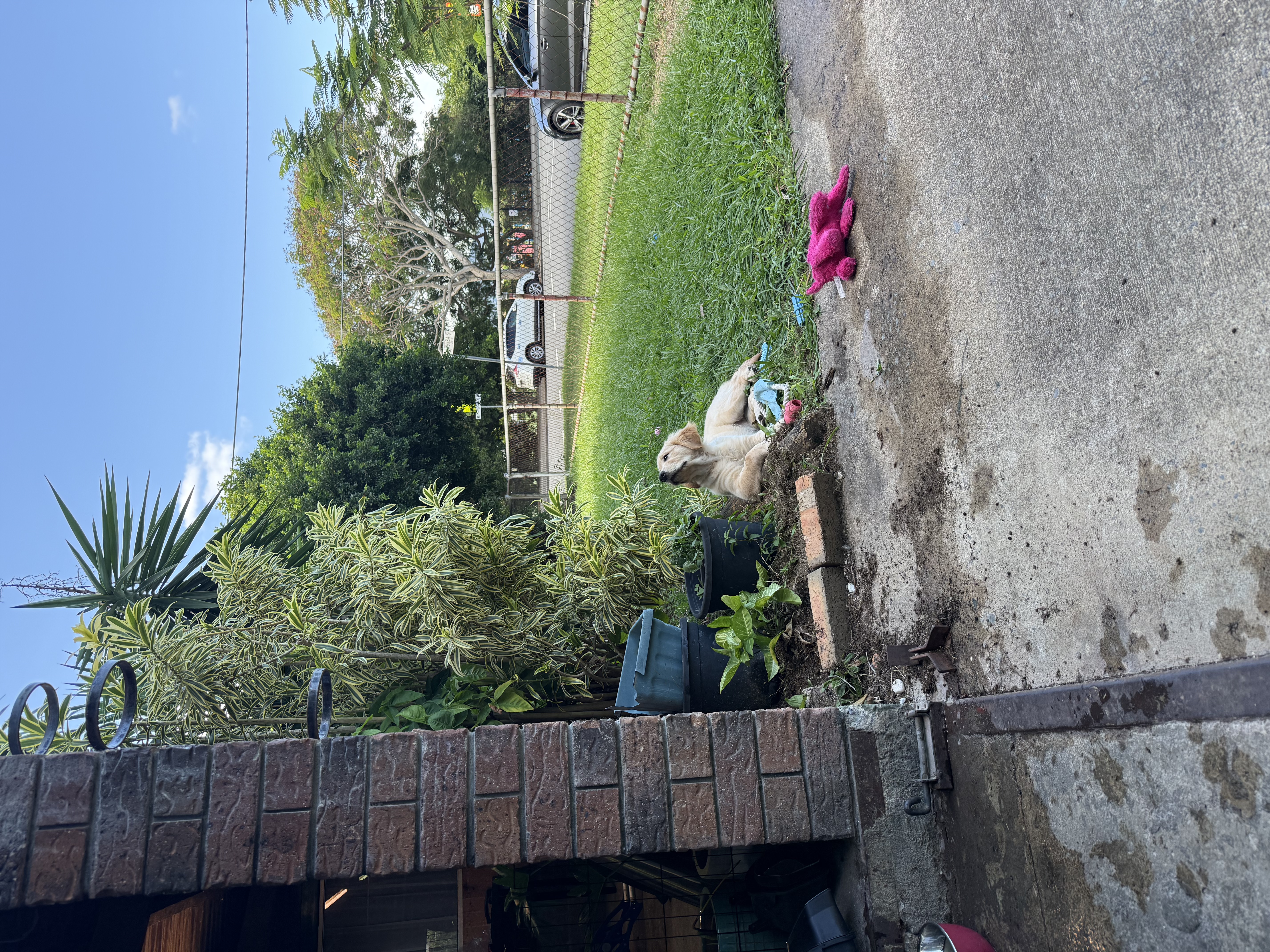 image-17