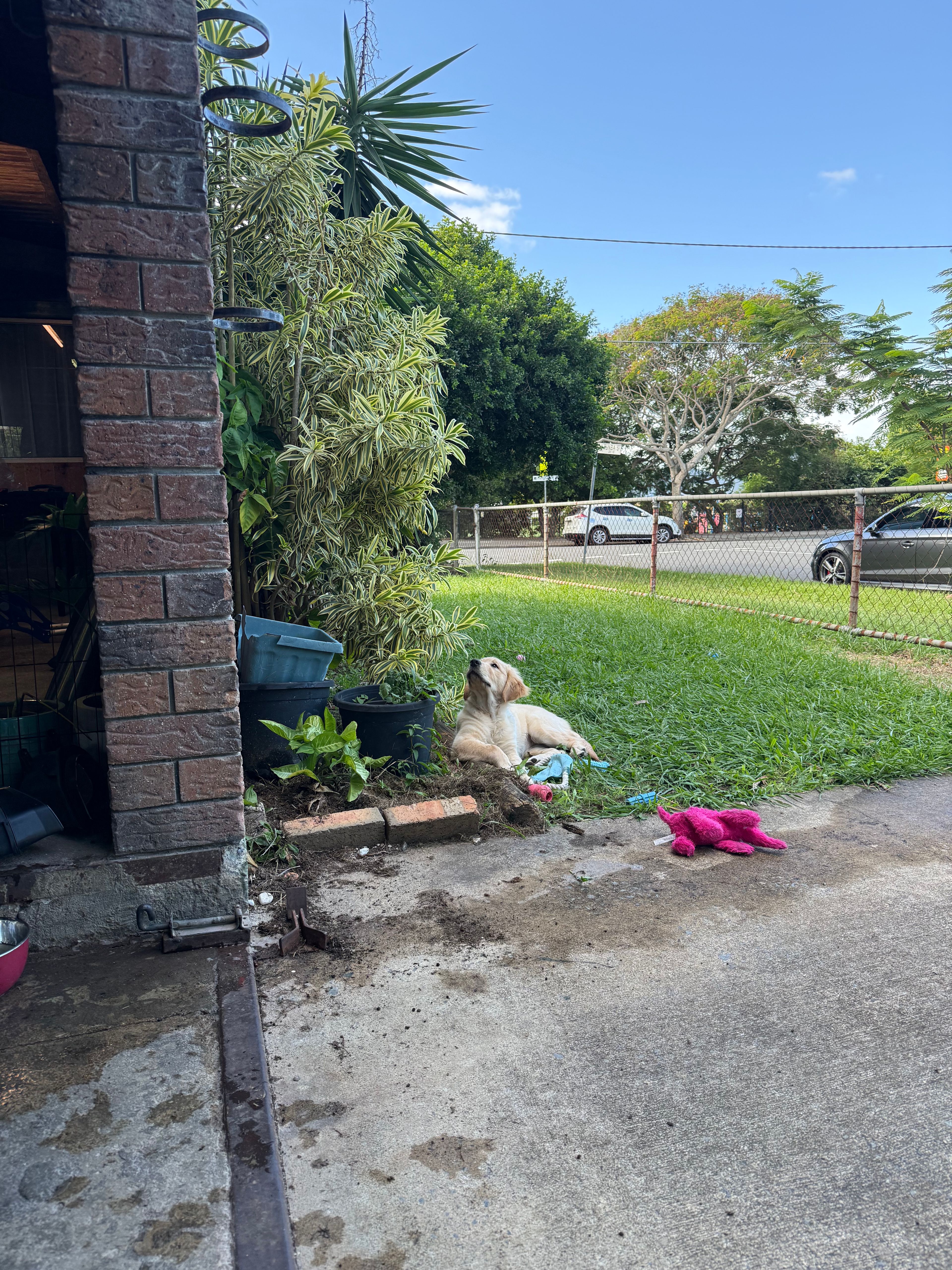 image-17